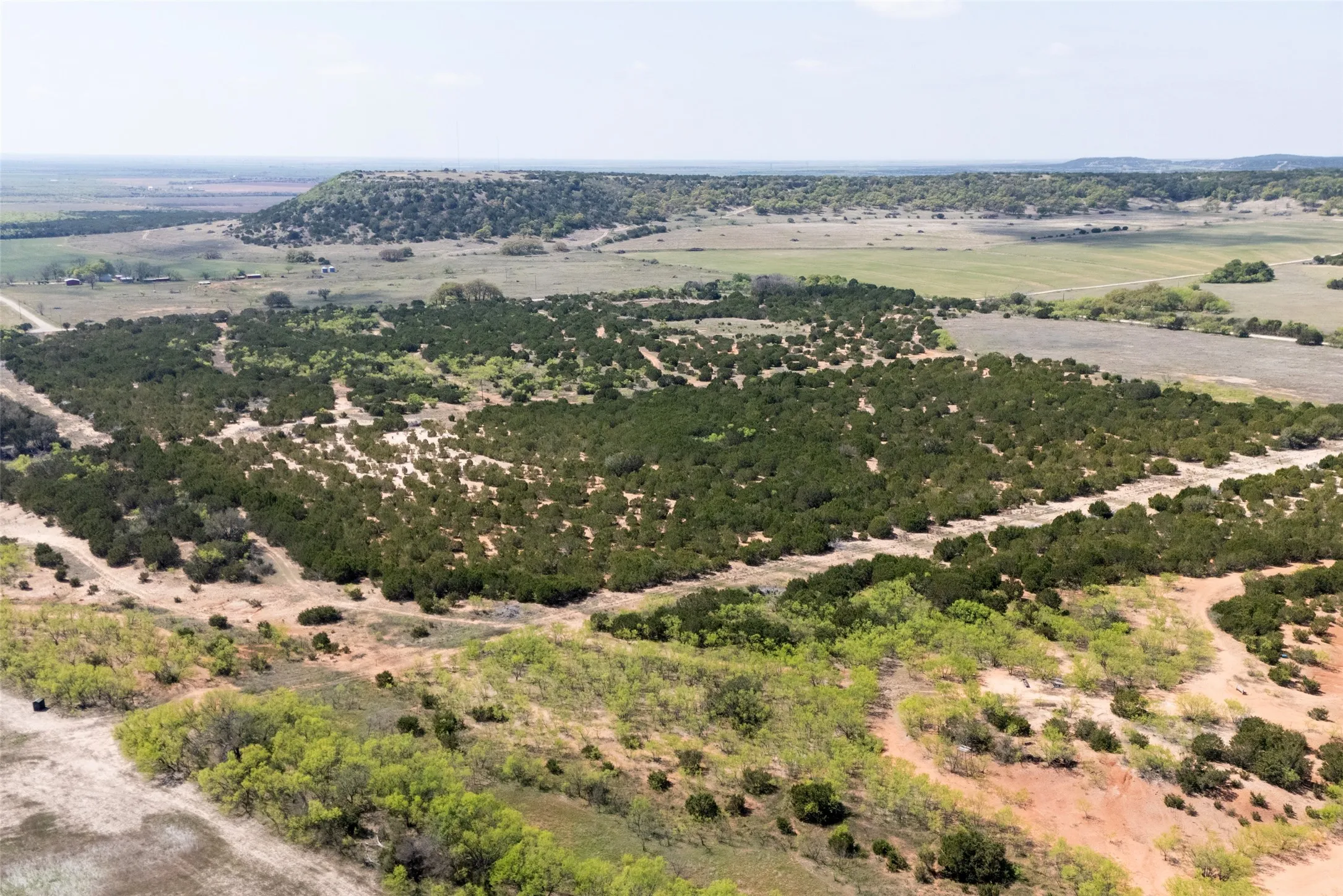 Unimproved Land For Sale in Taylor County , TBD County RD 184, Ovalo, Texas 79541, 0, 0, Garage spaces, 0 Sqft, built in 0, mls#21222544, Real Estate Agent in Ovalo, Homes For Sale in Taylor county, Homes For Sale in Ovalo, Realtor in Ovalo Texas, Real Estate Brokerage Independent Realty Texas, Luminita Cordes Realtor