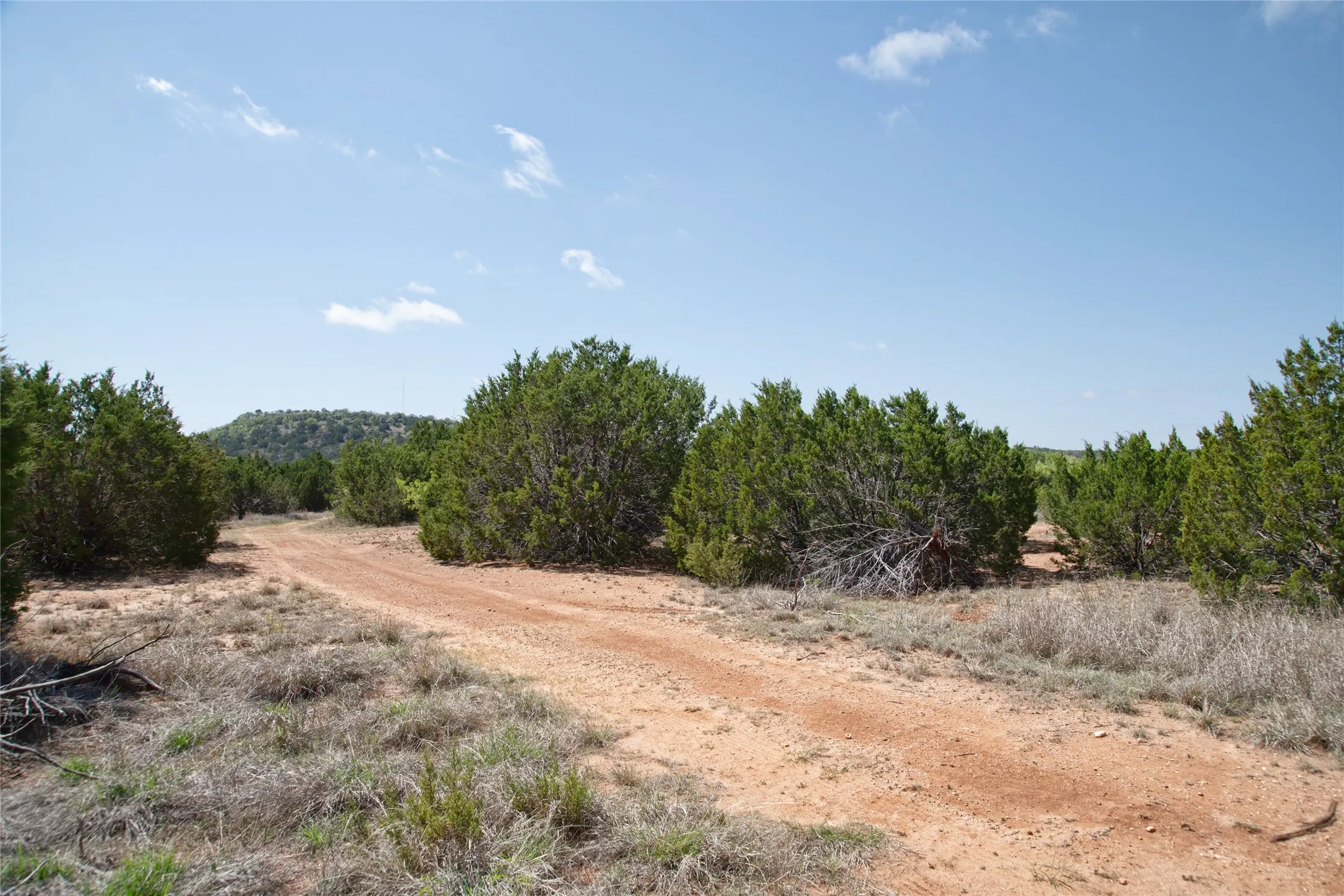 Unimproved Land For Sale in Taylor County , TBD County RD 184, Ovalo, Texas 79541, 0, 0, Garage spaces, 0 Sqft, built in 0, mls#21222544, Real Estate Agent in Ovalo, Homes For Sale in Taylor county, Homes For Sale in Ovalo, Realtor in Ovalo Texas, Real Estate Brokerage Independent Realty Texas, Luminita Cordes Realtor