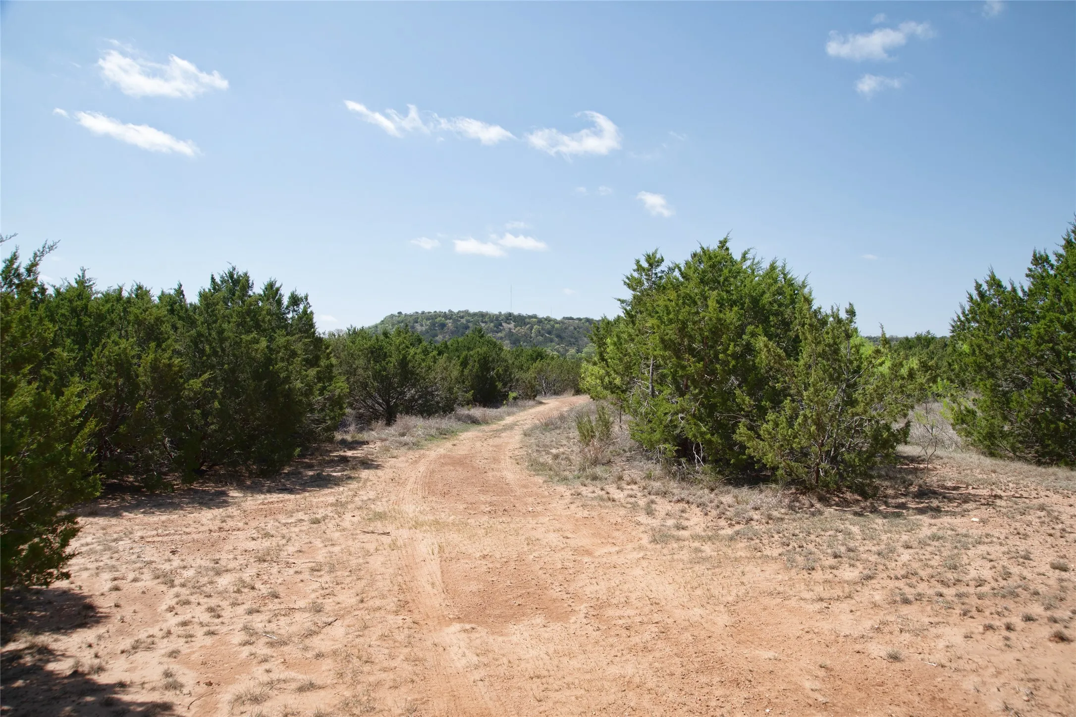 Unimproved Land For Sale in Taylor County , TBD County RD 184, Ovalo, Texas 79541, 0, 0, Garage spaces, 0 Sqft, built in 0, mls#21222544, Real Estate Agent in Ovalo, Homes For Sale in Taylor county, Homes For Sale in Ovalo, Realtor in Ovalo Texas, Real Estate Brokerage Independent Realty Texas, Luminita Cordes Realtor