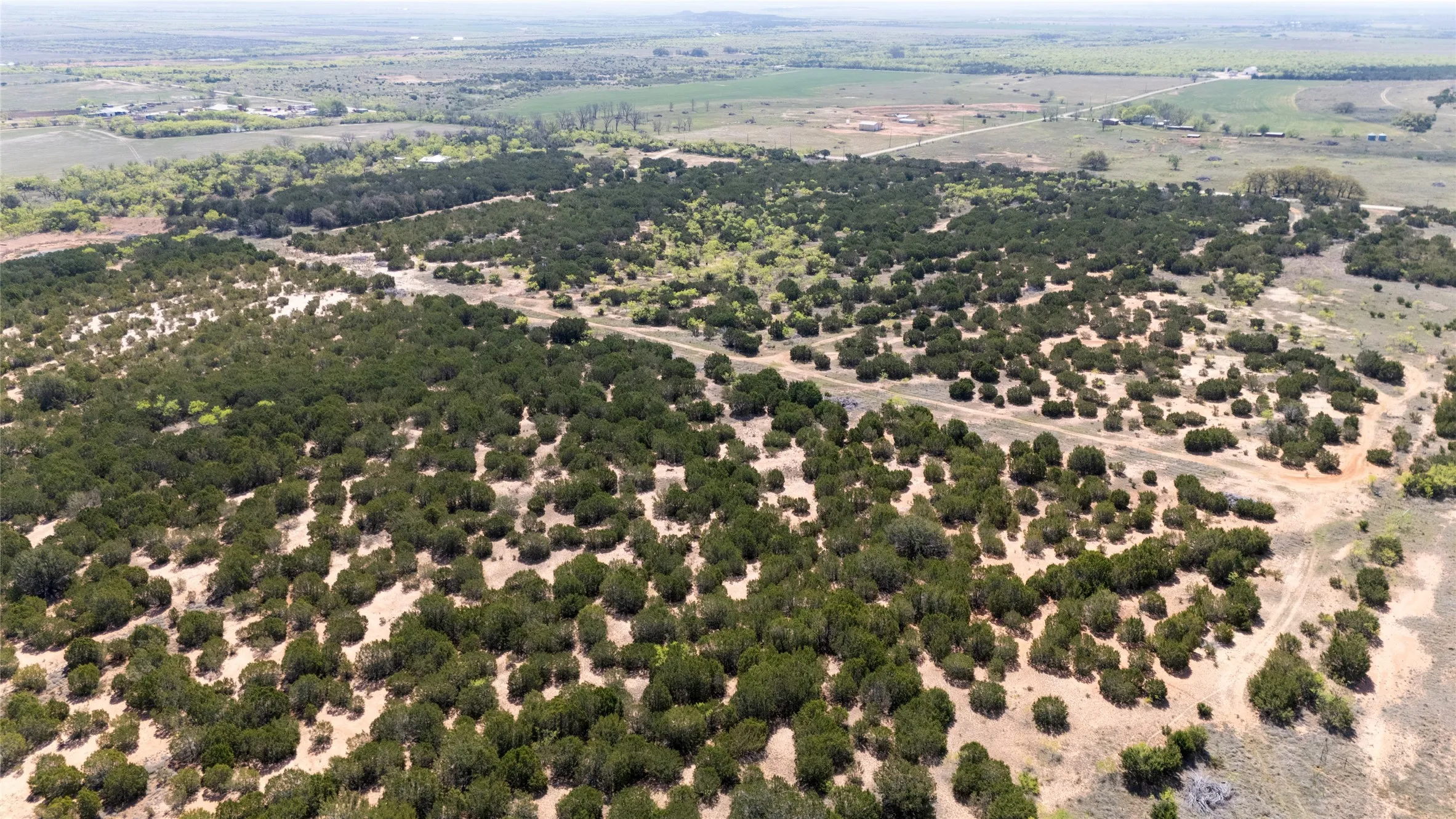Unimproved Land For Sale in Taylor County , TBD County RD 184, Ovalo, Texas 79541, 0, 0, Garage spaces, 0 Sqft, built in 0, mls#21222544, Real Estate Agent in Ovalo, Homes For Sale in Taylor county, Homes For Sale in Ovalo, Realtor in Ovalo Texas, Real Estate Brokerage Independent Realty Texas, Luminita Cordes Realtor