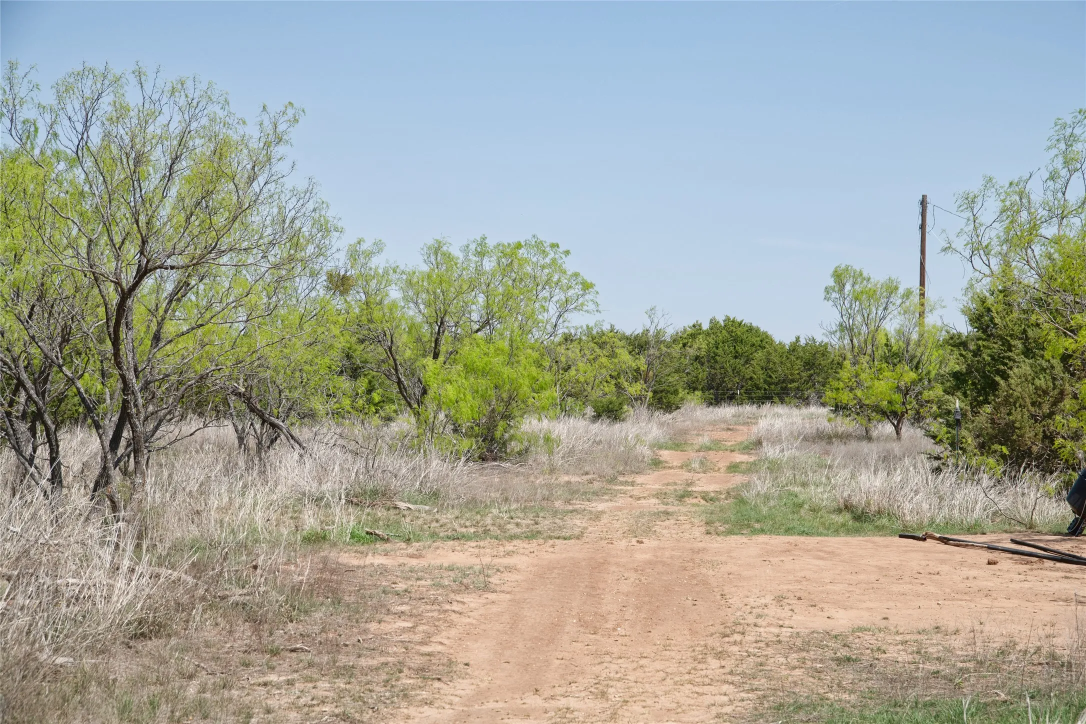 Unimproved Land For Sale in Taylor County , TBD County RD 184, Ovalo, Texas 79541, 0, 0, Garage spaces, 0 Sqft, built in 0, mls#21222544, Real Estate Agent in Ovalo, Homes For Sale in Taylor county, Homes For Sale in Ovalo, Realtor in Ovalo Texas, Real Estate Brokerage Independent Realty Texas, Luminita Cordes Realtor
