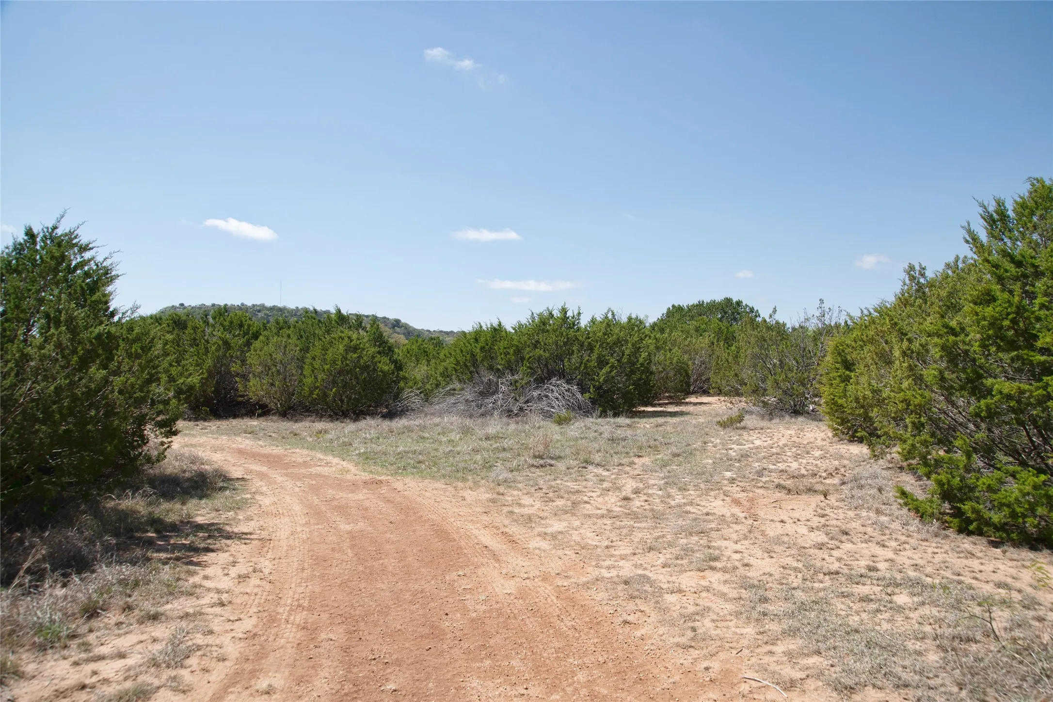 Unimproved Land For Sale in Taylor County , TBD County RD 184, Ovalo, Texas 79541, 0, 0, Garage spaces, 0 Sqft, built in 0, mls#21222544, Real Estate Agent in Ovalo, Homes For Sale in Taylor county, Homes For Sale in Ovalo, Realtor in Ovalo Texas, Real Estate Brokerage Independent Realty Texas, Luminita Cordes Realtor