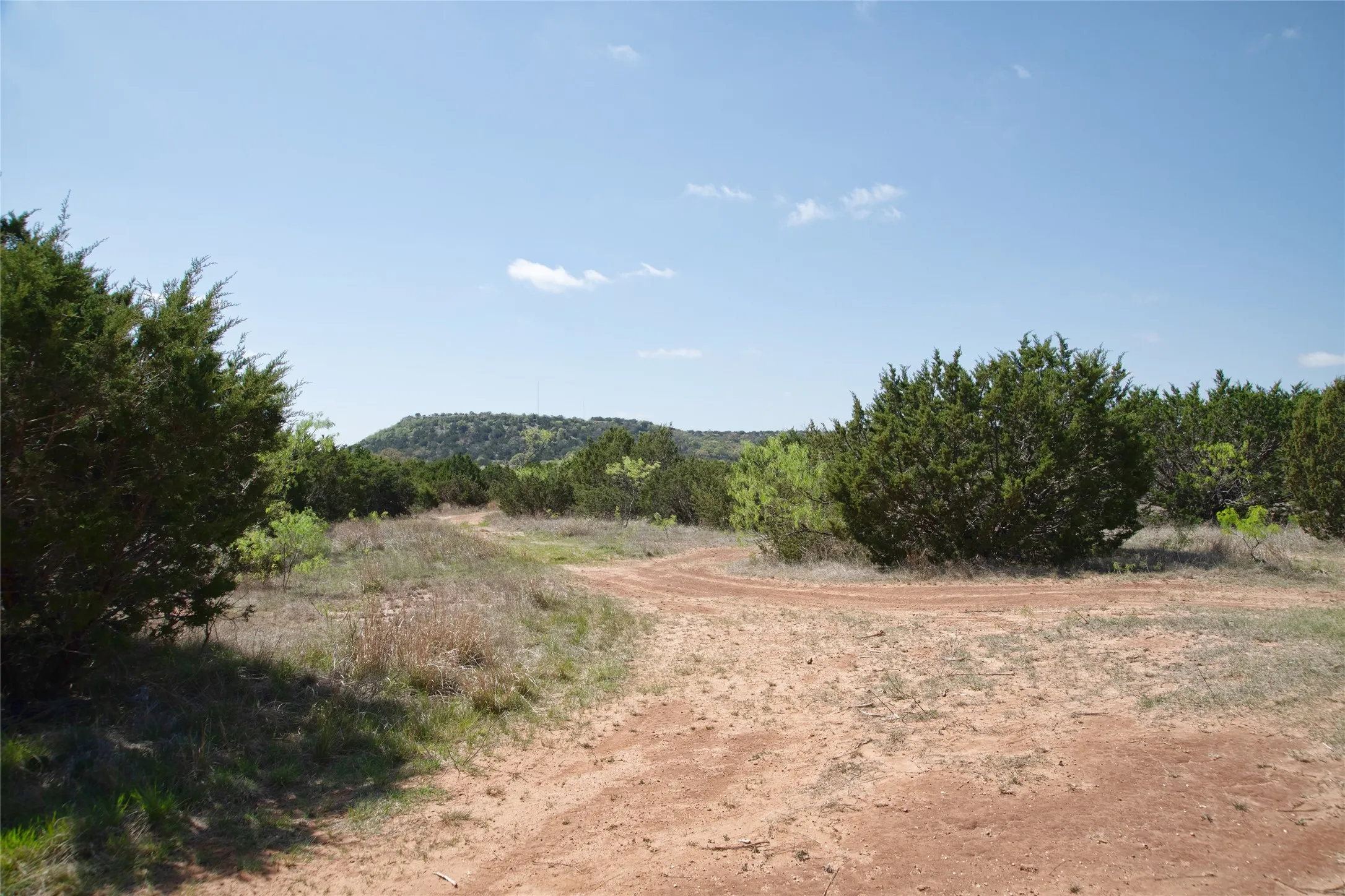 Unimproved Land For Sale in Taylor County , TBD County RD 184, Ovalo, Texas 79541, 0, 0, Garage spaces, 0 Sqft, built in 0, mls#21222544, Real Estate Agent in Ovalo, Homes For Sale in Taylor county, Homes For Sale in Ovalo, Realtor in Ovalo Texas, Real Estate Brokerage Independent Realty Texas, Luminita Cordes Realtor