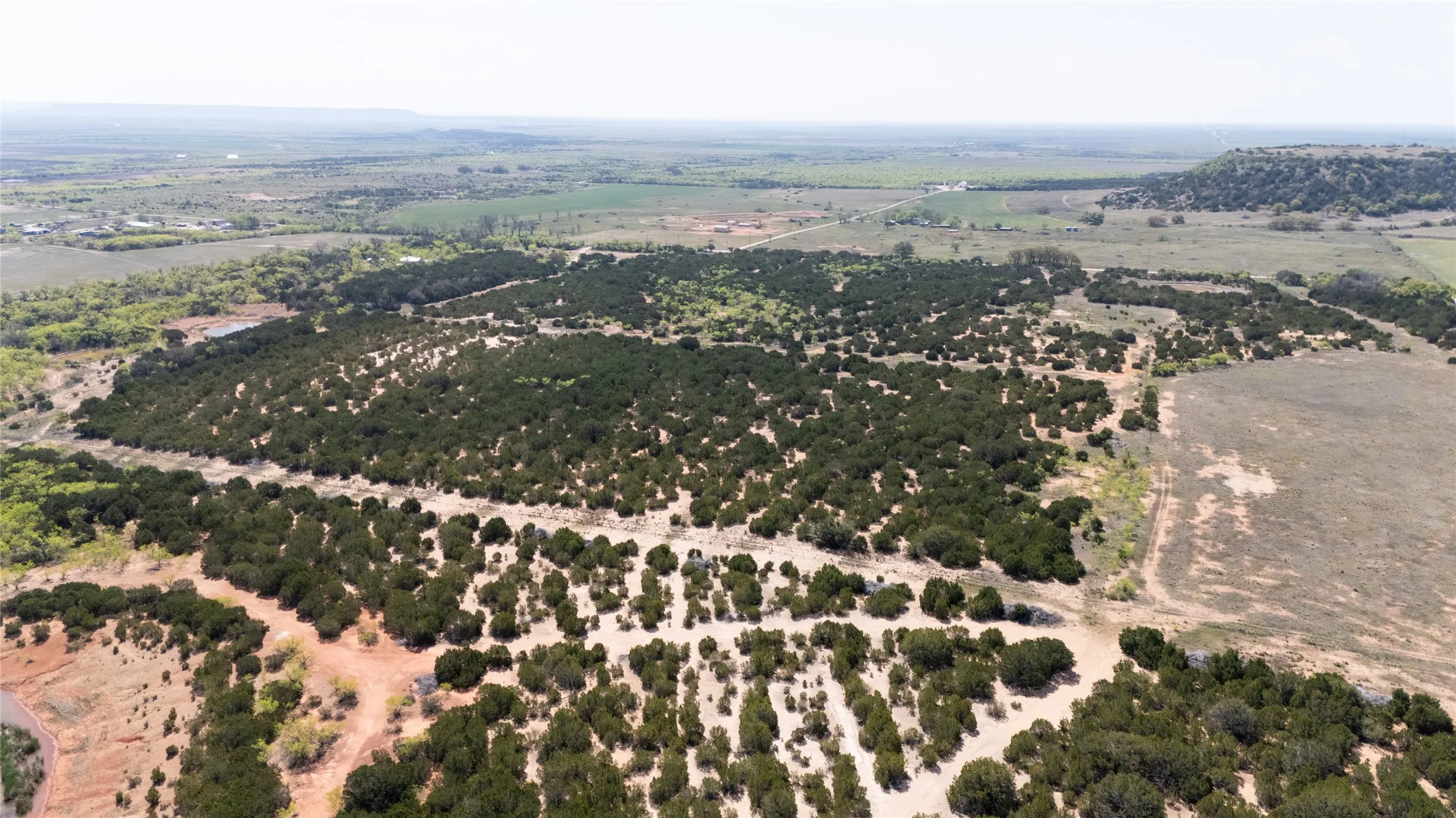 Unimproved Land For Sale in Taylor County , TBD County RD 184, Ovalo, Texas 79541, 0, 0, Garage spaces, 0 Sqft, built in 0, mls#21222544, Real Estate Agent in Ovalo, Homes For Sale in Taylor county, Homes For Sale in Ovalo, Realtor in Ovalo Texas, Real Estate Brokerage Independent Realty Texas, Luminita Cordes Realtor