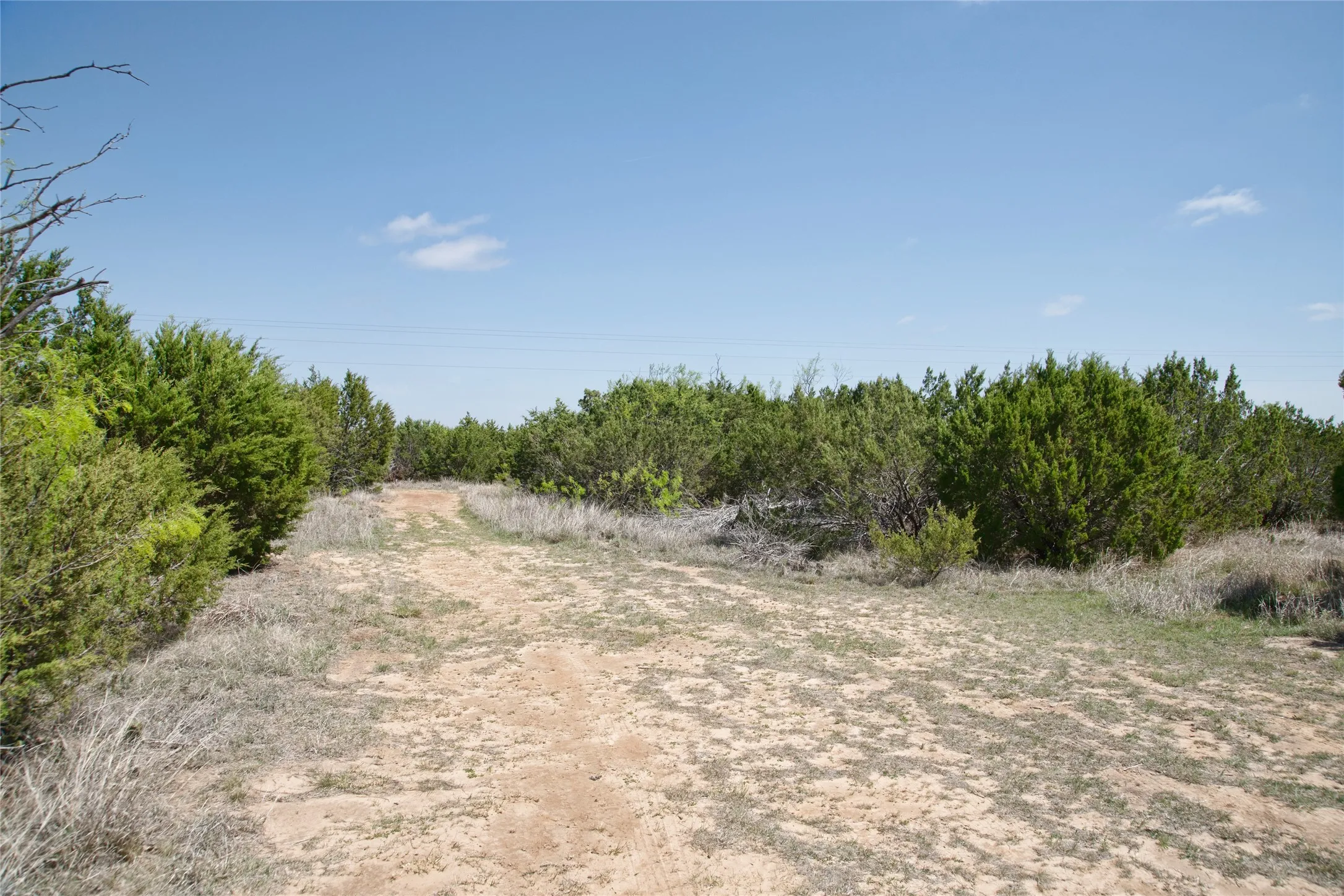 Unimproved Land For Sale in Taylor County , TBD County RD 184, Ovalo, Texas 79541, 0, 0, Garage spaces, 0 Sqft, built in 0, mls#21222544, Real Estate Agent in Ovalo, Homes For Sale in Taylor county, Homes For Sale in Ovalo, Realtor in Ovalo Texas, Real Estate Brokerage Independent Realty Texas, Luminita Cordes Realtor