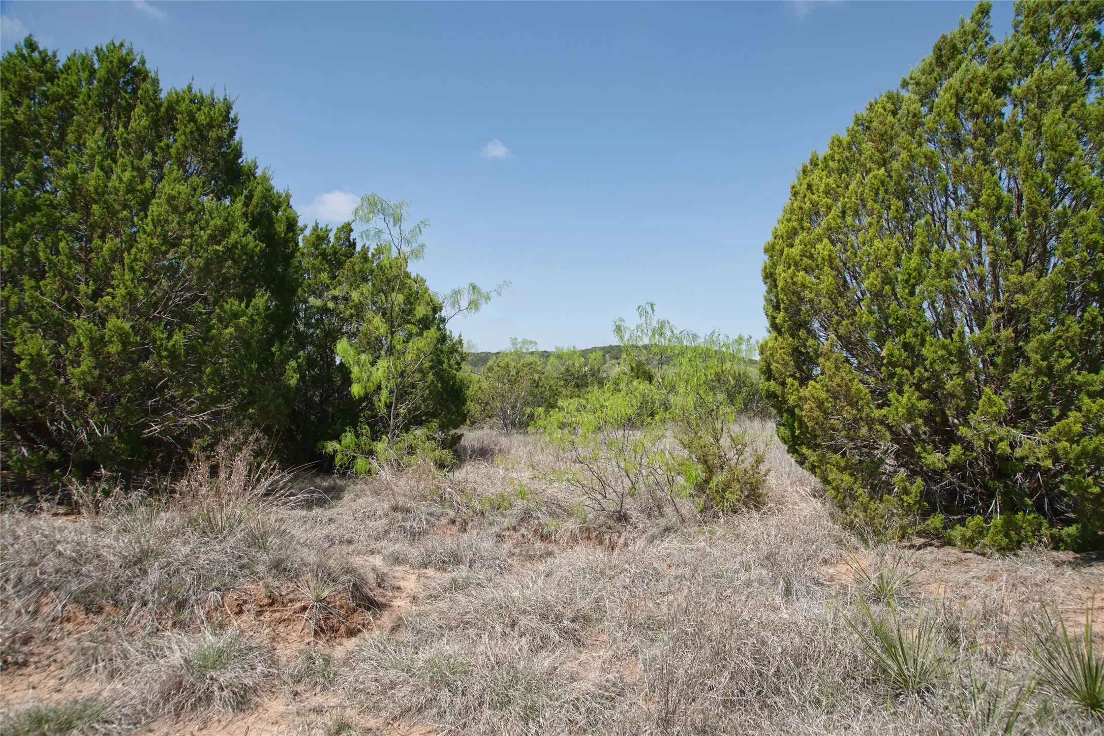 Unimproved Land For Sale in Taylor County , TBD County RD 184, Ovalo, Texas 79541, 0, 0, Garage spaces, 0 Sqft, built in 0, mls#21222544, Real Estate Agent in Ovalo, Homes For Sale in Taylor county, Homes For Sale in Ovalo, Realtor in Ovalo Texas, Real Estate Brokerage Independent Realty Texas, Luminita Cordes Realtor