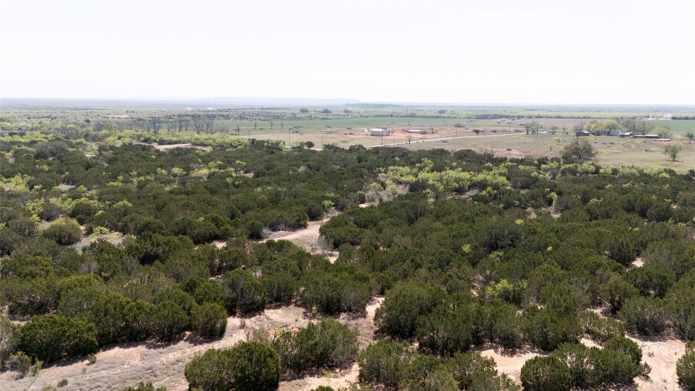 Unimproved Land For Sale in Taylor County , TBD County RD 184, Ovalo, Texas 79541, 0, 0, Garage spaces, 0 Sqft, built in 0, mls#21222544, Real Estate Agent in Ovalo, Homes For Sale in Taylor county, Homes For Sale in Ovalo, Realtor in Ovalo Texas, Real Estate Brokerage Independent Realty Texas, Luminita Cordes Realtor