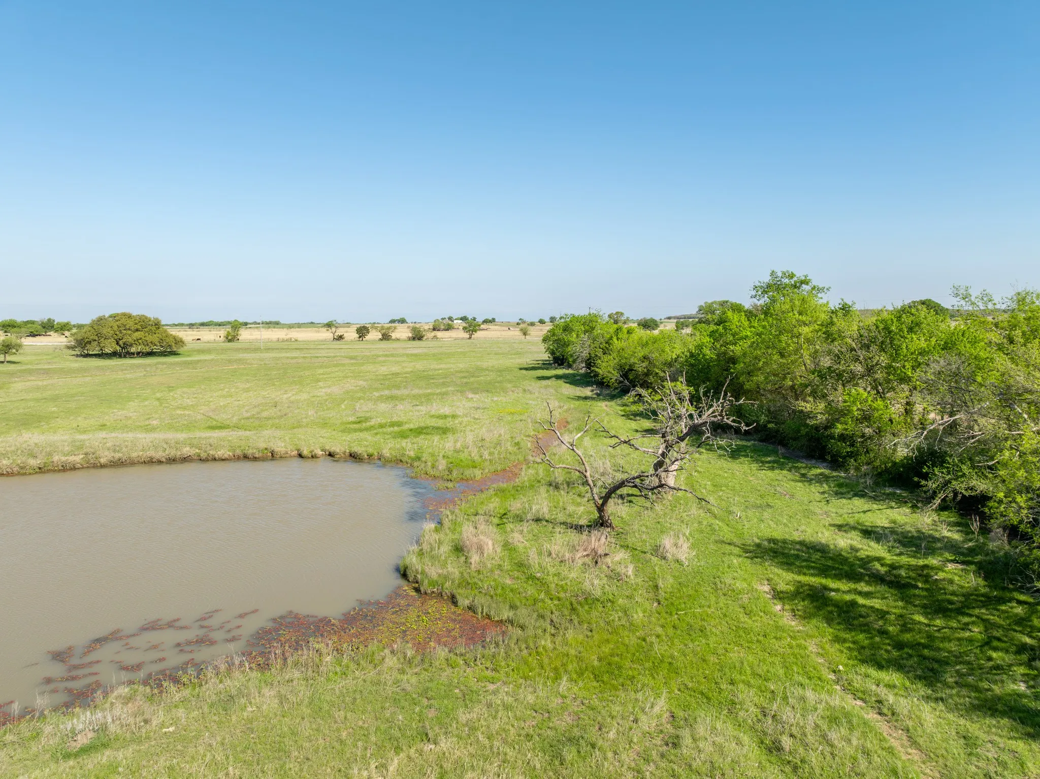 Ranch For Sale in Hill County , TBD HCR 1211, Whitney, Texas 76692, 0, 0, Garage spaces, 0 Sqft, built in 0, mls#21227055, Real Estate Agent in Whitney, Homes For Sale in Hill county, Homes For Sale in Whitney, Realtor in Whitney Texas, Real Estate Brokerage Independent Realty Texas, Luminita Cordes Realtor
