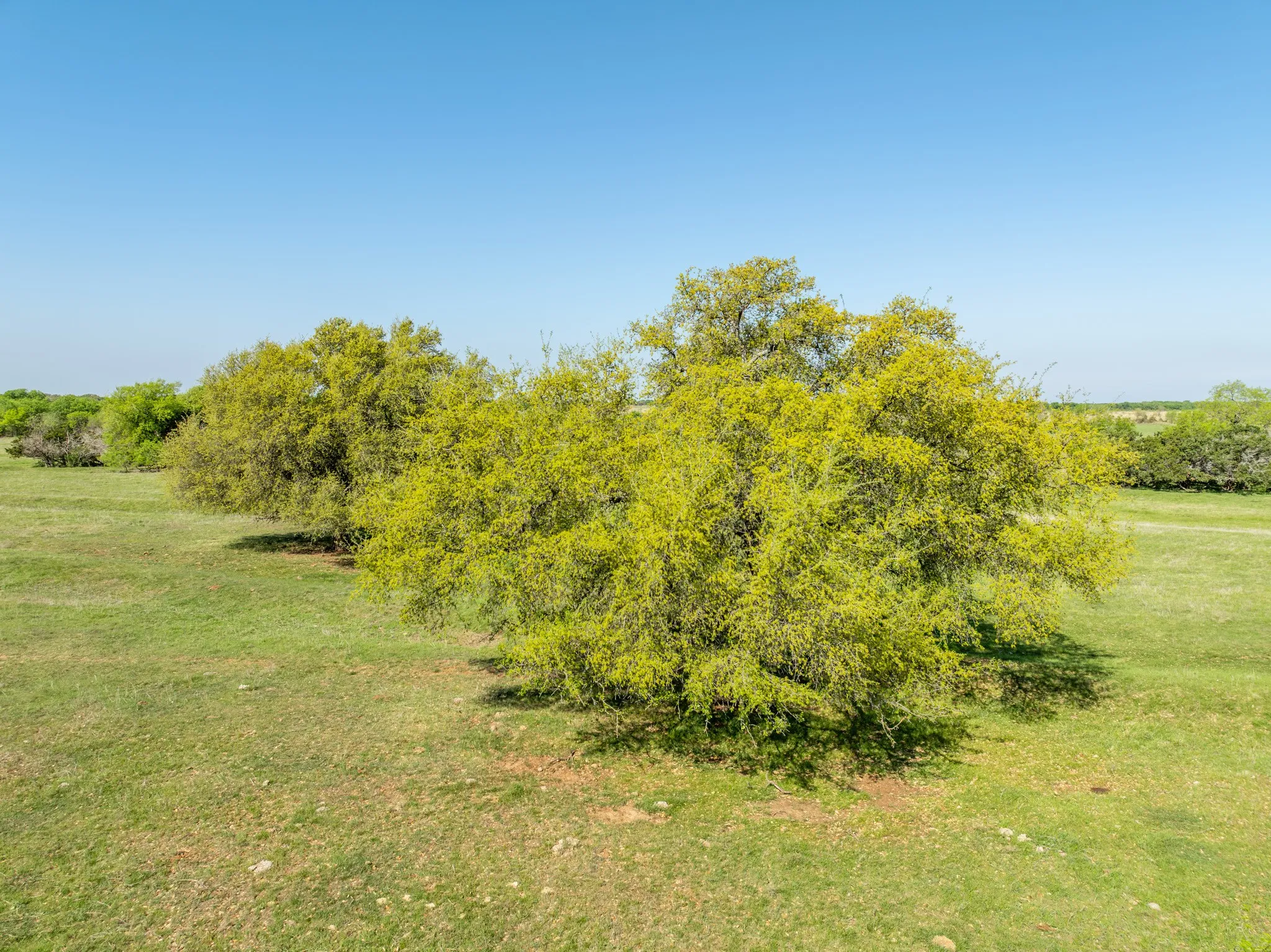 Ranch For Sale in Hill County , TBD HCR 1211, Whitney, Texas 76692, 0, 0, Garage spaces, 0 Sqft, built in 0, mls#21227055, Real Estate Agent in Whitney, Homes For Sale in Hill county, Homes For Sale in Whitney, Realtor in Whitney Texas, Real Estate Brokerage Independent Realty Texas, Luminita Cordes Realtor