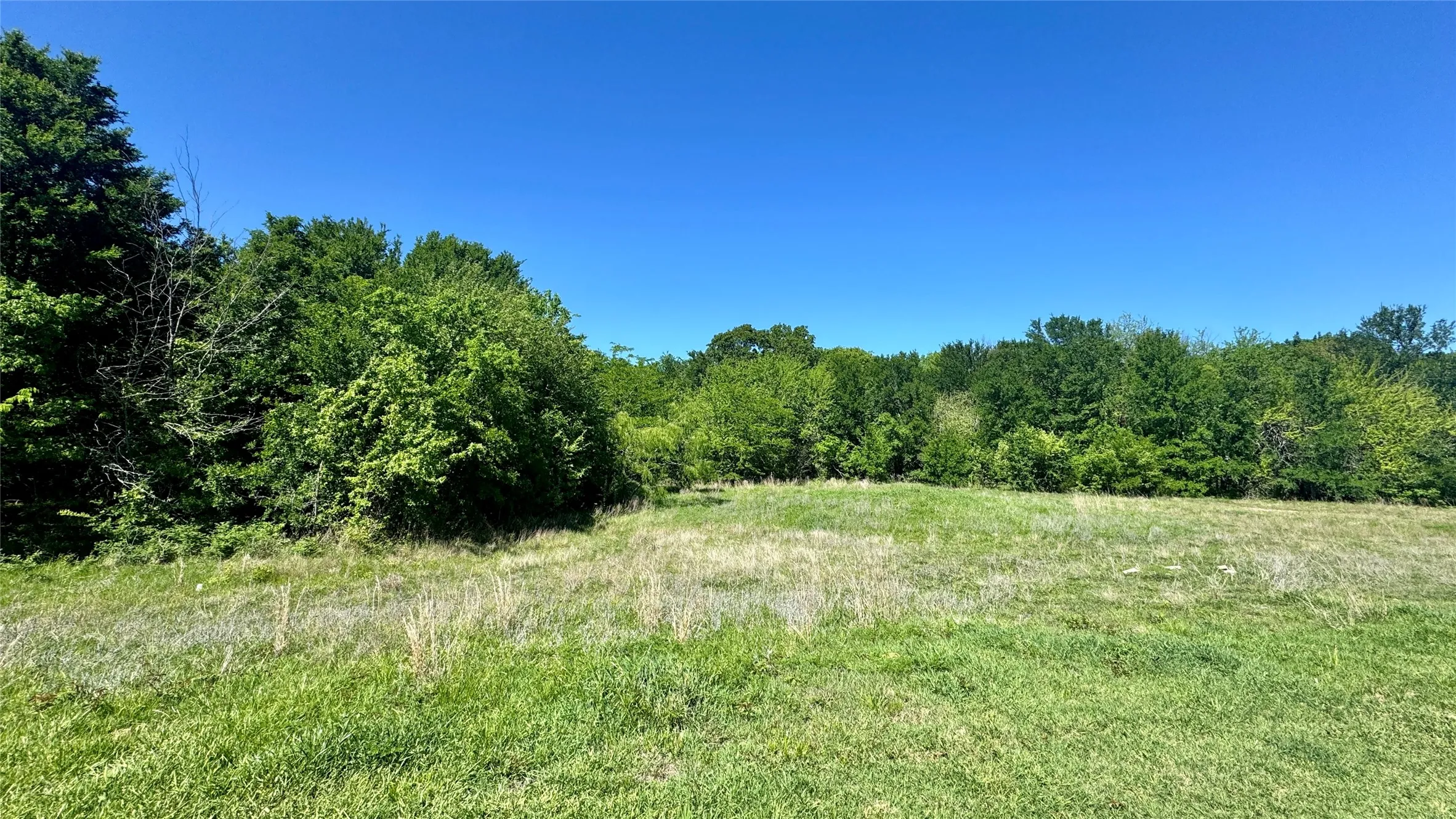 Improved Land For Sale in Van Zandt County , 2985 FM 751, Wills Point, Texas 75169, 0, 0, Garage spaces, 0 Sqft, built in 0, mls#21230951, Real Estate Agent in Wills Point, Homes For Sale in Van Zandt county, Homes For Sale in Wills Point, Realtor in Wills Point Texas, Real Estate Brokerage Independent Realty Texas, Luminita Cordes Realtor