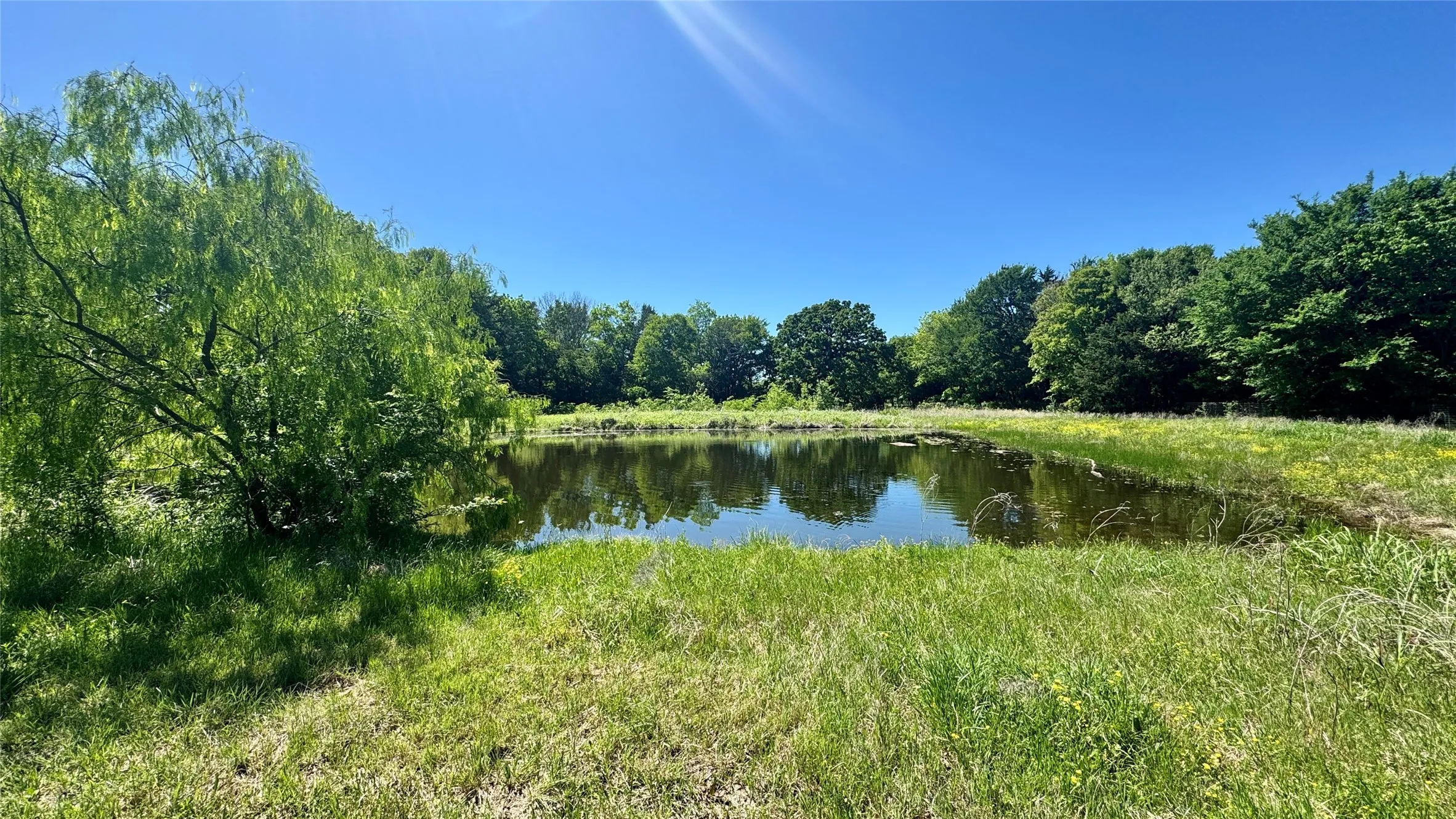 Improved Land For Sale in Van Zandt County , 2985 FM 751, Wills Point, Texas 75169, 0, 0, Garage spaces, 0 Sqft, built in 0, mls#21230951, Real Estate Agent in Wills Point, Homes For Sale in Van Zandt county, Homes For Sale in Wills Point, Realtor in Wills Point Texas, Real Estate Brokerage Independent Realty Texas, Luminita Cordes Realtor