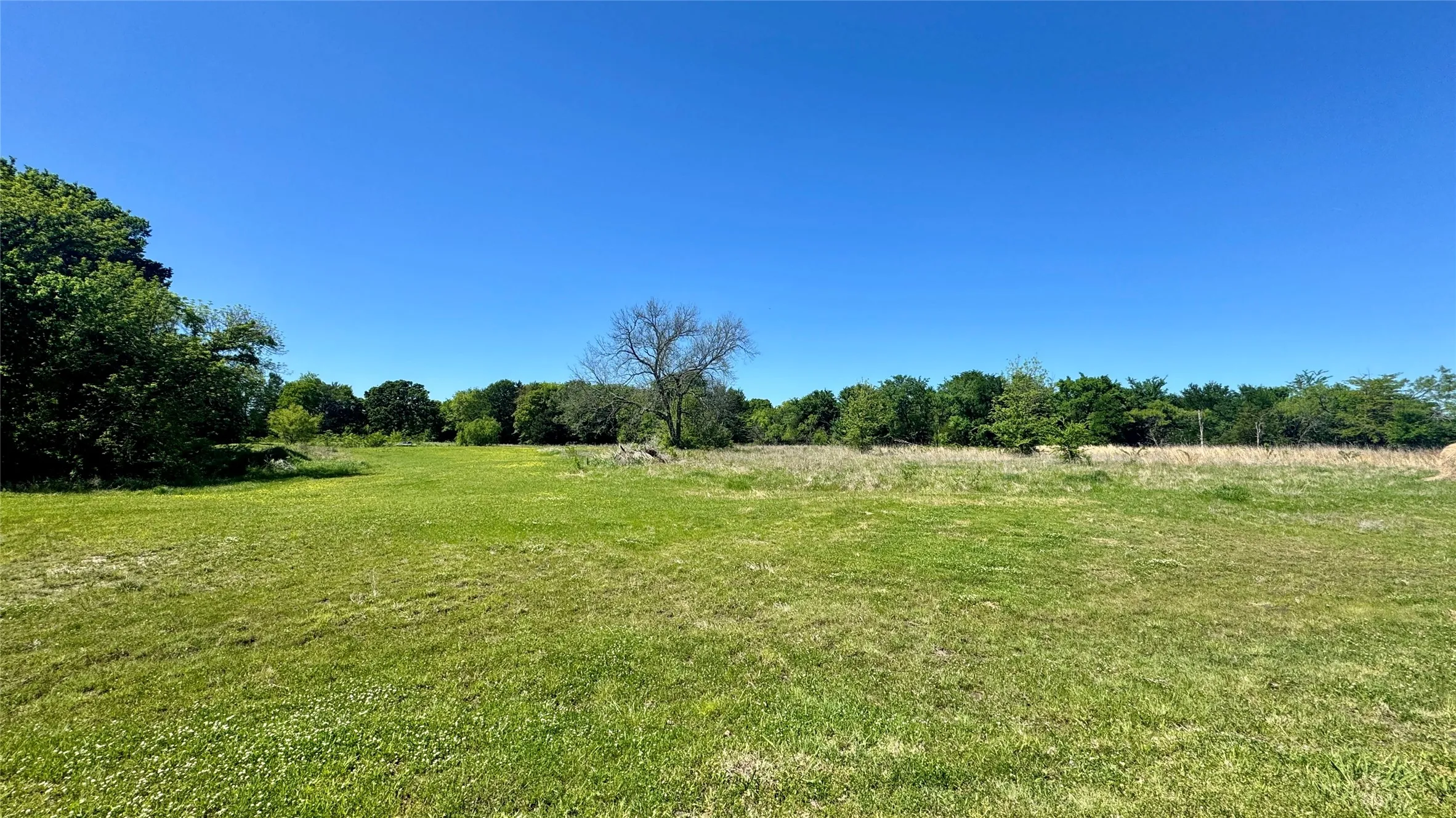 Improved Land For Sale in Van Zandt County , 2985 FM 751, Wills Point, Texas 75169, 0, 0, Garage spaces, 0 Sqft, built in 0, mls#21230951, Real Estate Agent in Wills Point, Homes For Sale in Van Zandt county, Homes For Sale in Wills Point, Realtor in Wills Point Texas, Real Estate Brokerage Independent Realty Texas, Luminita Cordes Realtor