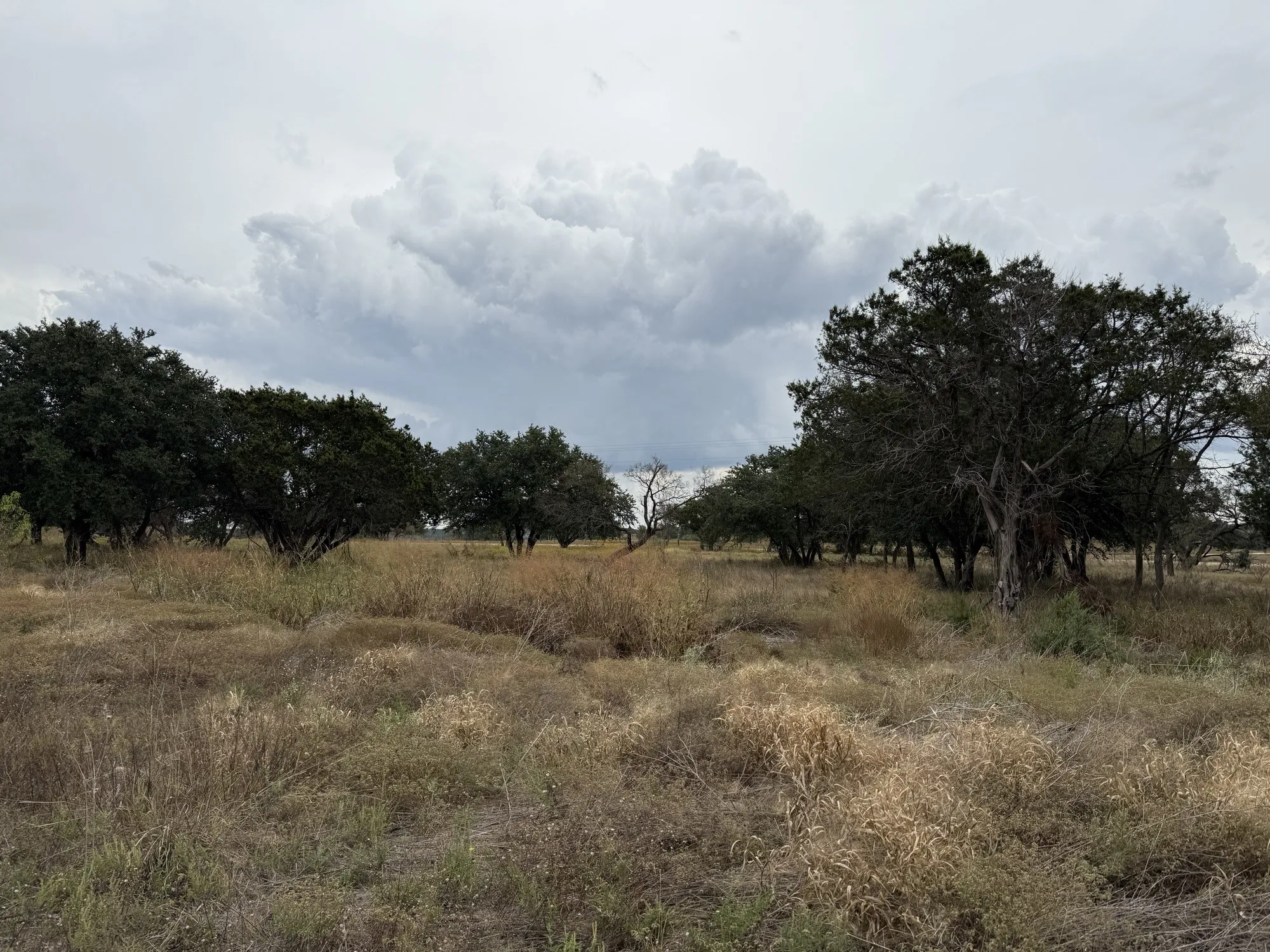 Unimproved Land For Sale in Coryell County , Lot 11 Fm 1690, Gatesville, Texas 76528, 0, 0, Garage spaces, 0 Sqft, built in 0, Price $112,500, mls#21231064, Real Estate Agent in Gatesville, Homes For Sale in Coryell county, Homes For Sale in Gatesville, Realtor in Gatesville Texas, Real Estate Brokerage Independent Realty Texas, Luminita Cordes Realtor