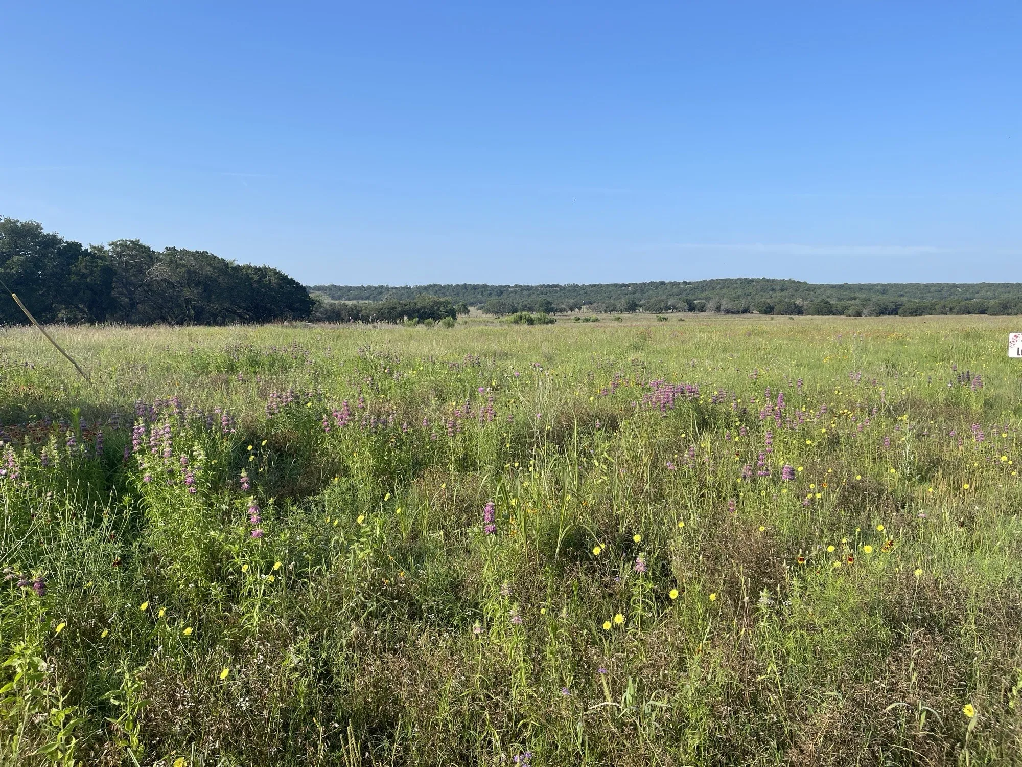 Unimproved Land For Sale in Coryell County , Lot 11 Fm 1690, Gatesville, Texas 76528, 0, 0, Garage spaces, 0 Sqft, built in 0, Price $112,500, mls#21231064, Real Estate Agent in Gatesville, Homes For Sale in Coryell county, Homes For Sale in Gatesville, Realtor in Gatesville Texas, Real Estate Brokerage Independent Realty Texas, Luminita Cordes Realtor