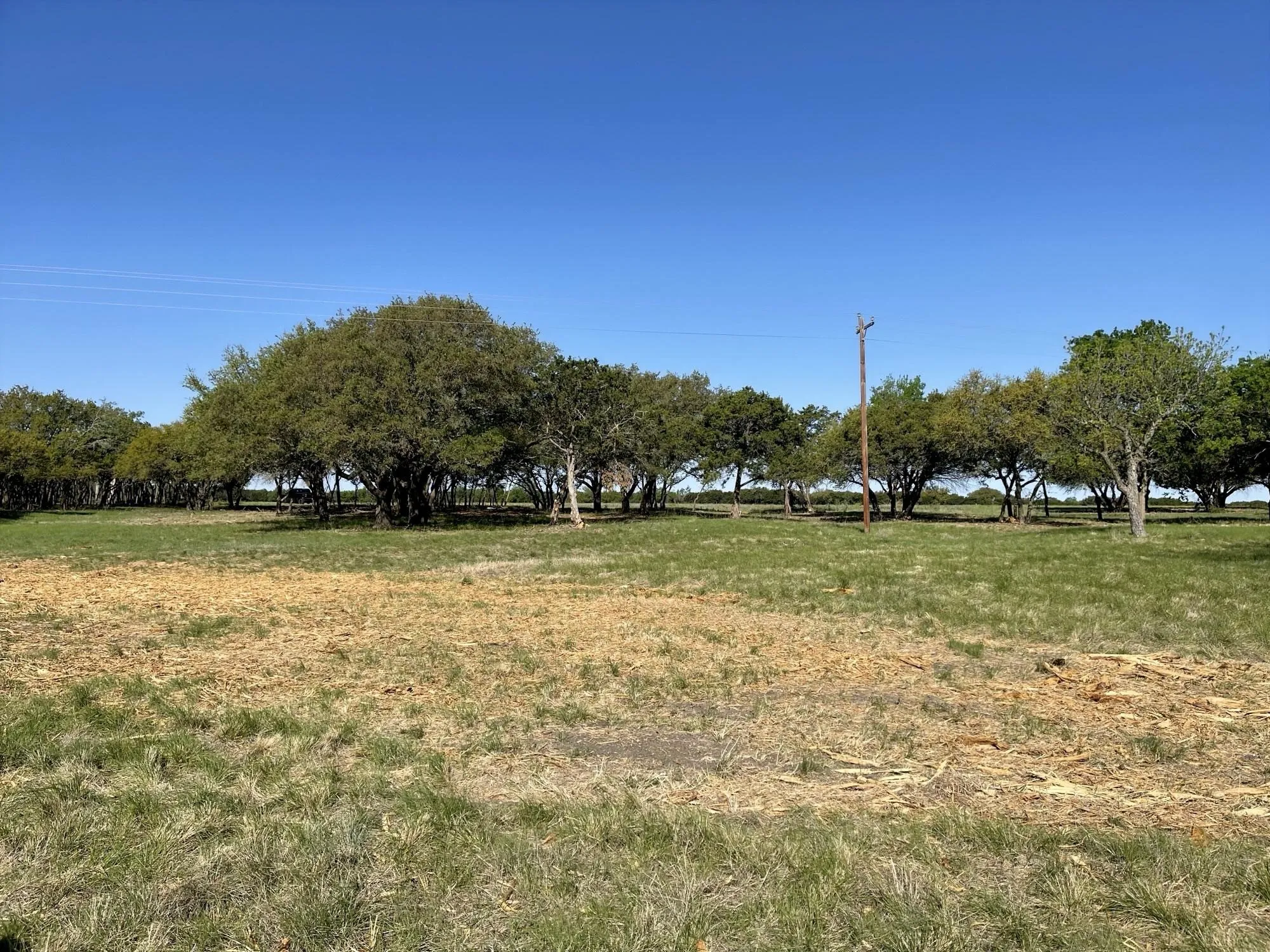 Unimproved Land For Sale in Coryell County , Lot 11 Fm 1690, Gatesville, Texas 76528, 0, 0, Garage spaces, 0 Sqft, built in 0, Price $112,500, mls#21231064, Real Estate Agent in Gatesville, Homes For Sale in Coryell county, Homes For Sale in Gatesville, Realtor in Gatesville Texas, Real Estate Brokerage Independent Realty Texas, Luminita Cordes Realtor