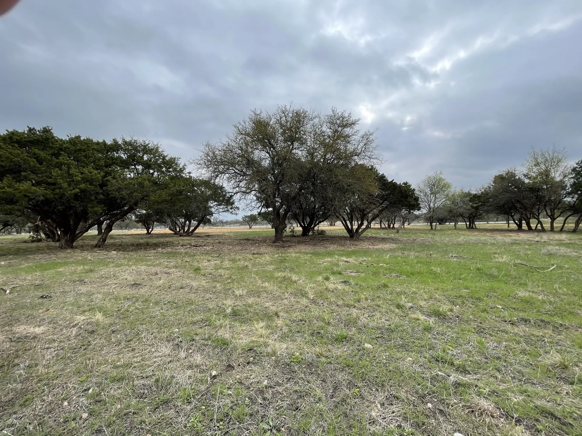 Unimproved Land For Sale in Coryell County , Lot 11 Fm 1690, Gatesville, Texas 76528, 0, 0, Garage spaces, 0 Sqft, built in 0, Price $112,500, mls#21231064, Real Estate Agent in Gatesville, Homes For Sale in Coryell county, Homes For Sale in Gatesville, Realtor in Gatesville Texas, Real Estate Brokerage Independent Realty Texas, Luminita Cordes Realtor