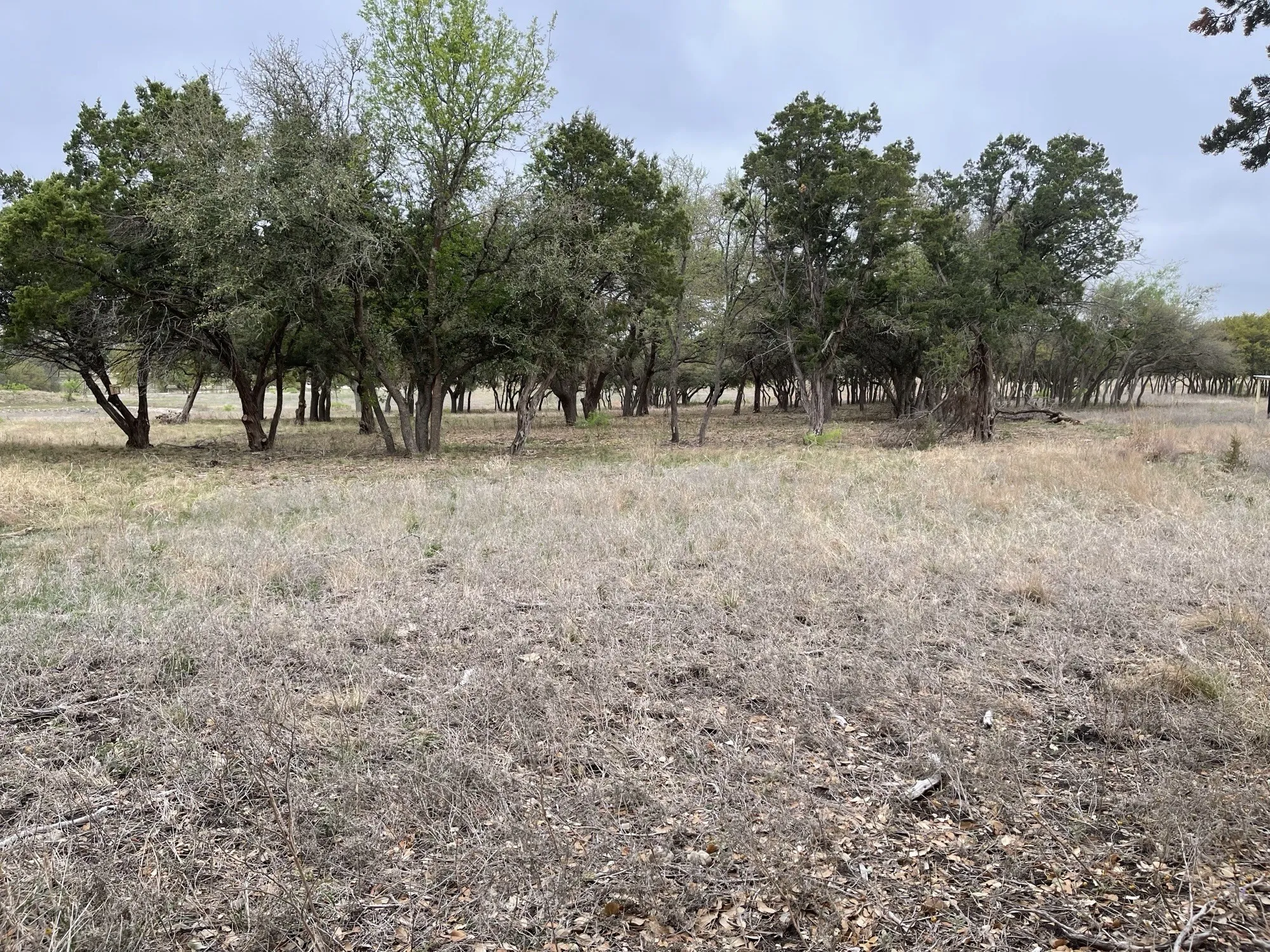 Unimproved Land For Sale in Coryell County , Lot 11 Fm 1690, Gatesville, Texas 76528, 0, 0, Garage spaces, 0 Sqft, built in 0, Price $112,500, mls#21231064, Real Estate Agent in Gatesville, Homes For Sale in Coryell county, Homes For Sale in Gatesville, Realtor in Gatesville Texas, Real Estate Brokerage Independent Realty Texas, Luminita Cordes Realtor