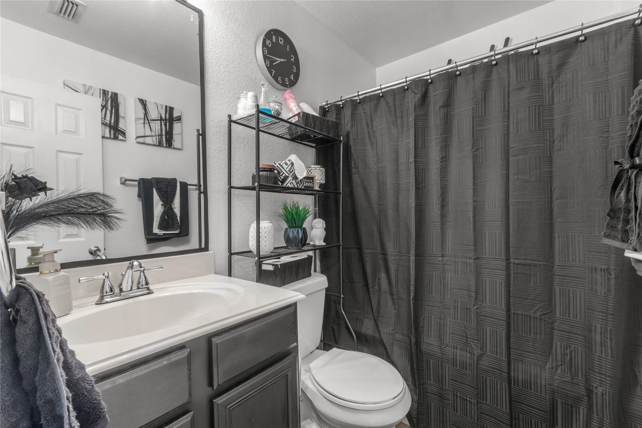 The bathroom features a vanity with a white sink and chrome faucet, a large mirror, and a dark shower curtain