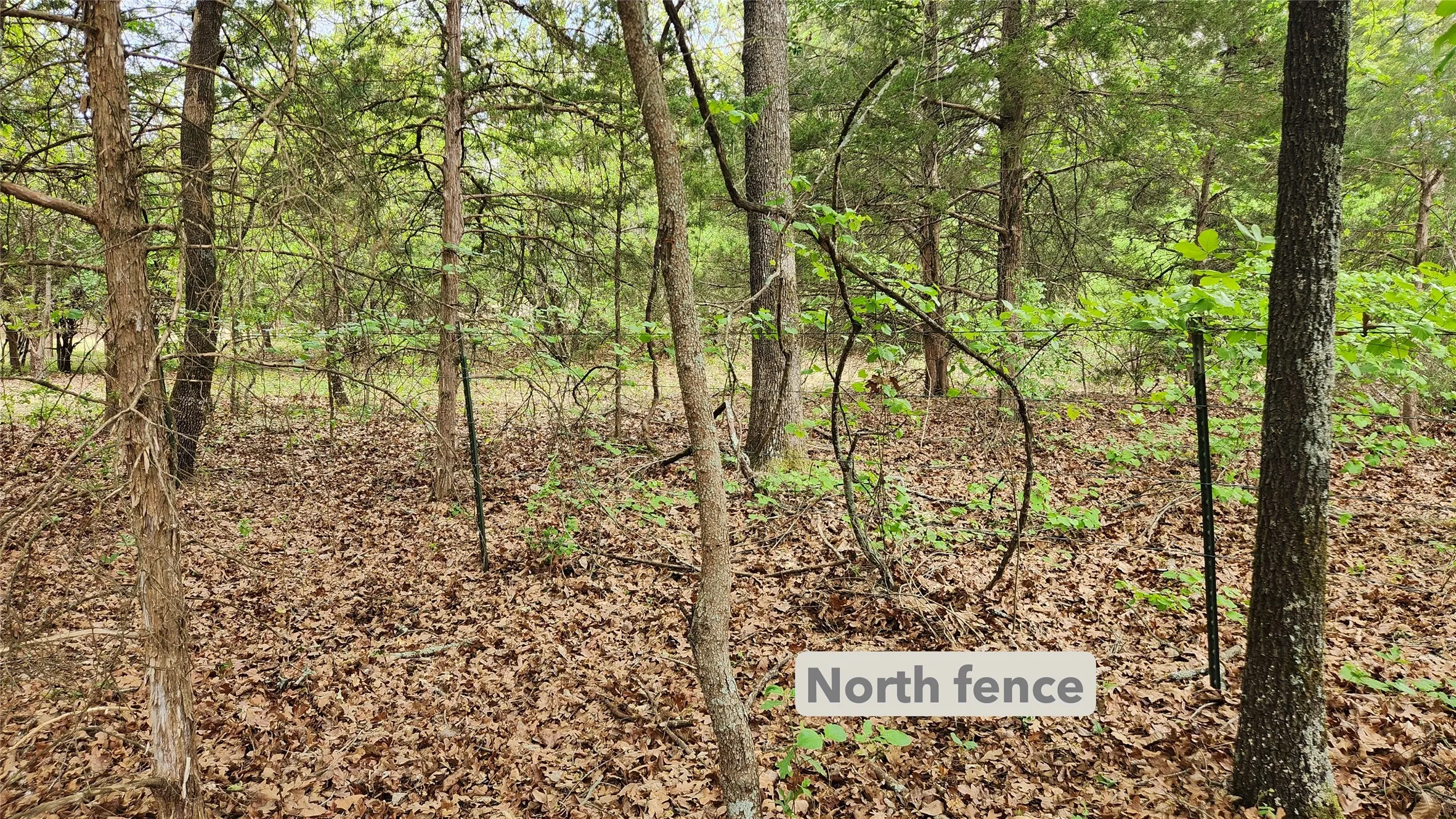 North fence