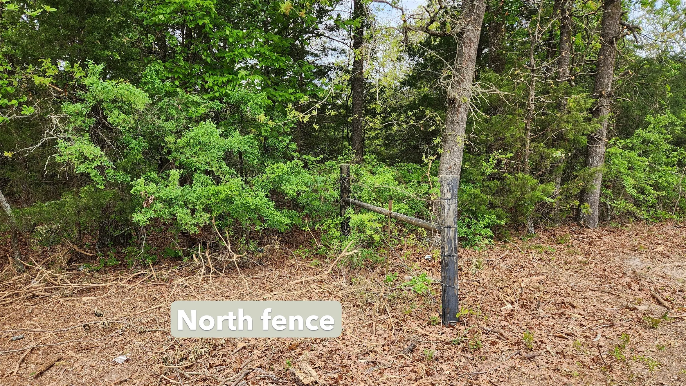 North boundary