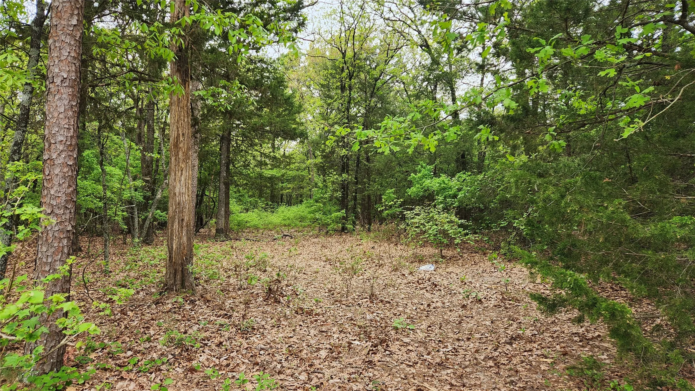 Possible entrance to property