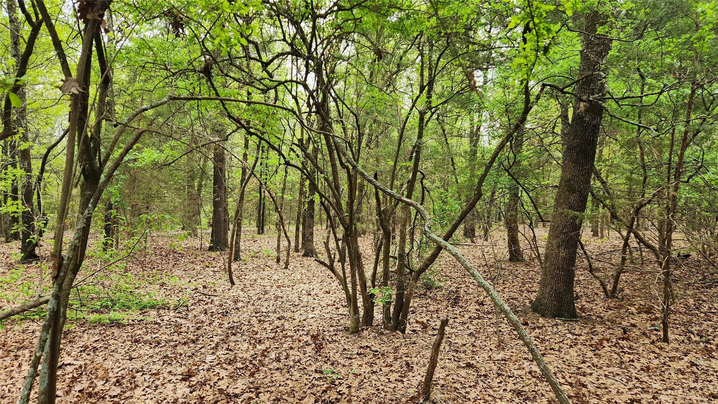 Secluded & private