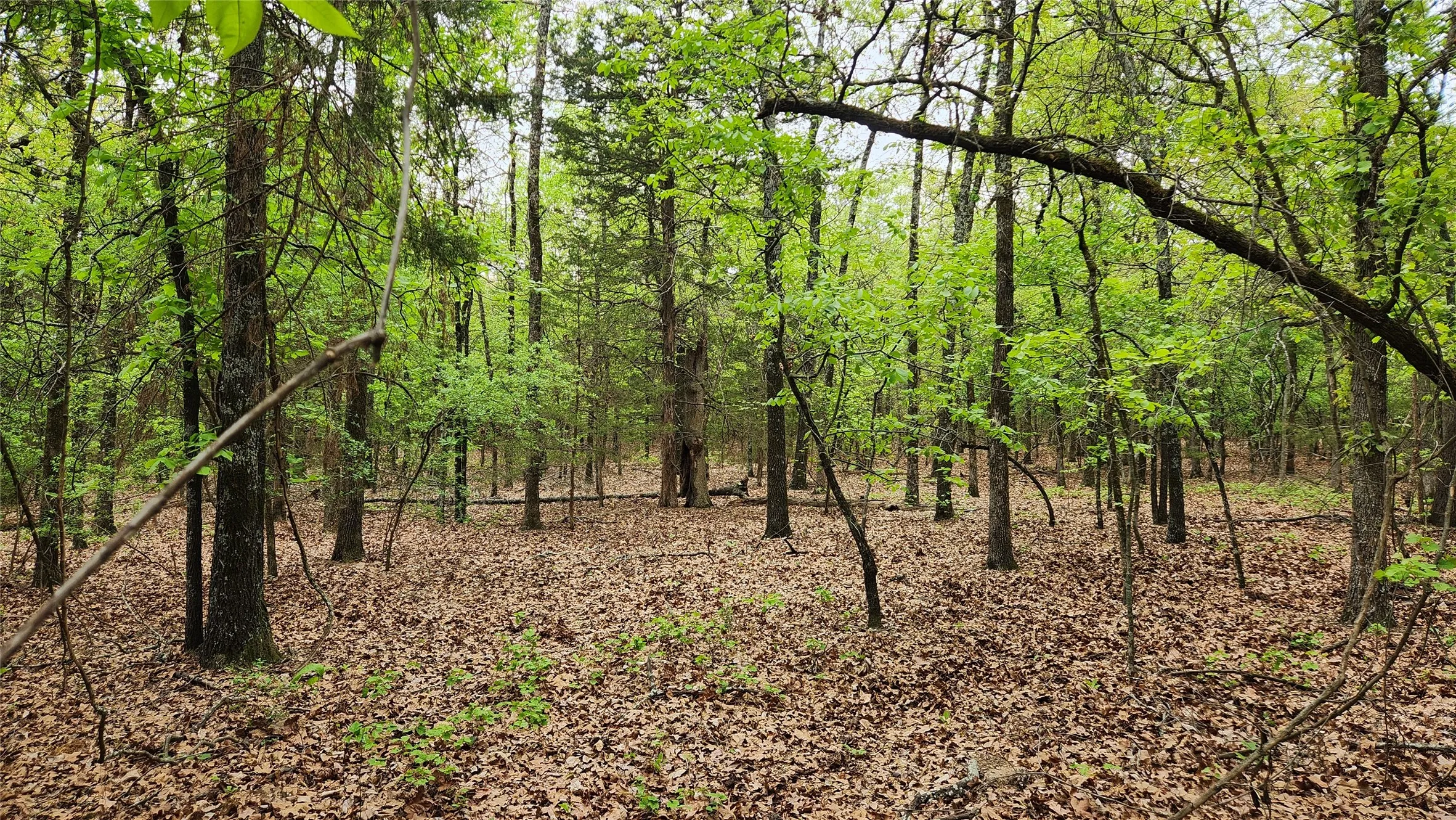 Peaceful environment