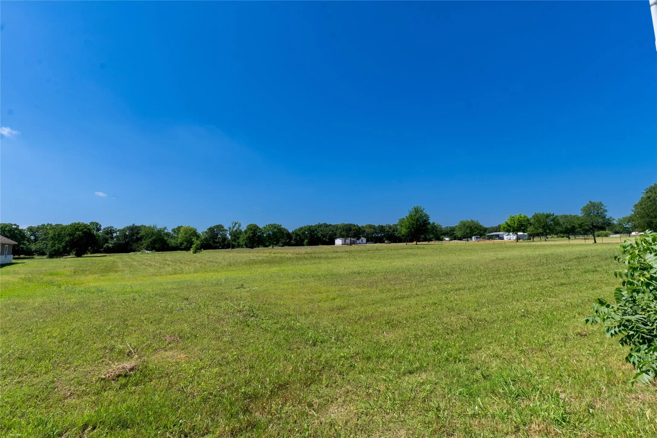 Expansive green acreage with mature trees bordering the property line