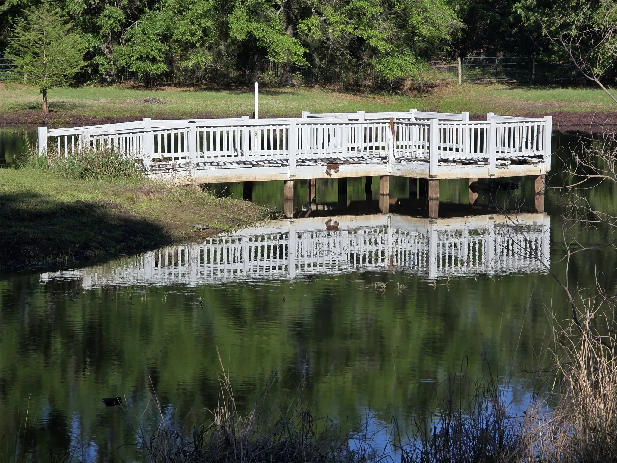 Single Family Residence For Sale in Camp County , 244 CR 2321, Pittsburg, Texas 75686, 3 Bedroom, 2 Bathroom, 2 Garage spaces, 2,086 Sqft, built in 2008, Price $575,000, mls#21230189, Real Estate Agent in Pittsburg, Homes For Sale in Camp county, Homes For Sale in Pittsburg, Realtor in Pittsburg Texas, Real Estate Brokerage Independent Realty Texas, Luminita Cordes Realtor