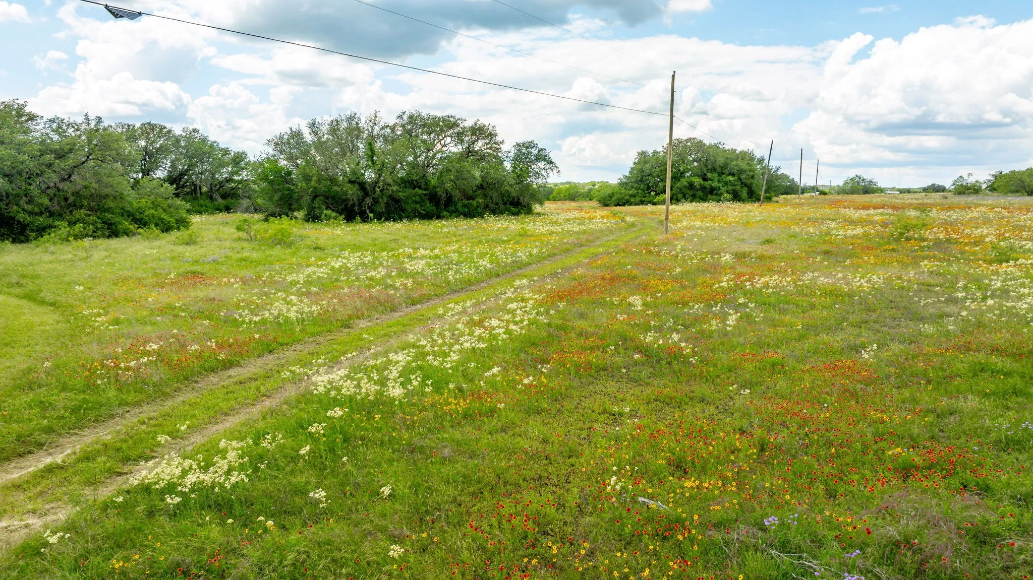 Unimproved Land For Sale in Erath County , Lot 3 County Road 277, Dublin, Texas 76446, 0, 0, Garage spaces, 0 Sqft, built in 0, mls#21225392, Real Estate Agent in Dublin, Homes For Sale in Erath county, Homes For Sale in Dublin, Realtor in Dublin Texas, Real Estate Brokerage Independent Realty Texas, Luminita Cordes Realtor