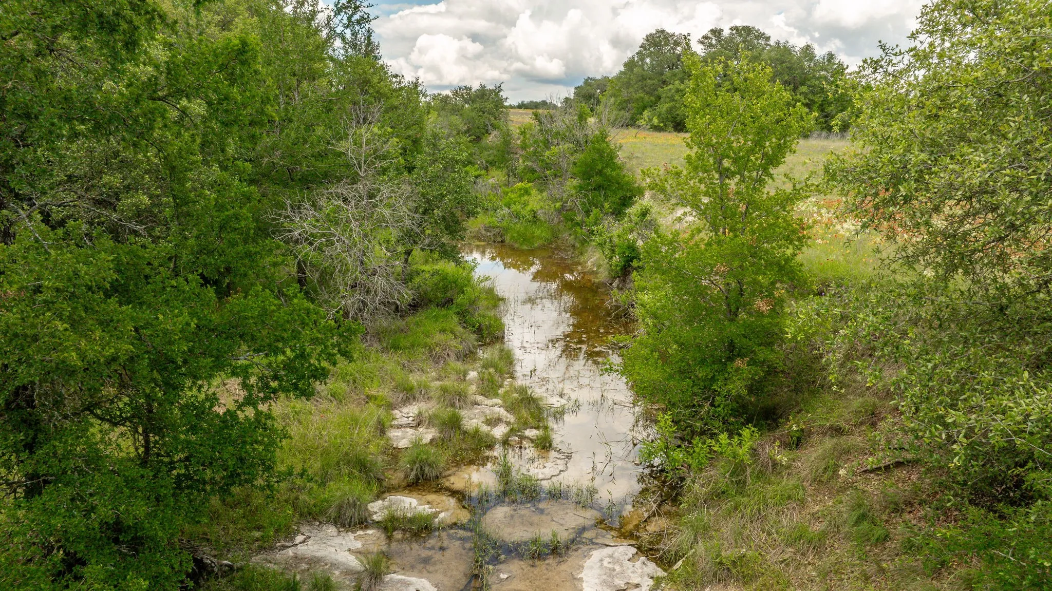 Unimproved Land For Sale in Erath County , Lot 3 County Road 277, Dublin, Texas 76446, 0, 0, Garage spaces, 0 Sqft, built in 0, mls#21225392, Real Estate Agent in Dublin, Homes For Sale in Erath county, Homes For Sale in Dublin, Realtor in Dublin Texas, Real Estate Brokerage Independent Realty Texas, Luminita Cordes Realtor