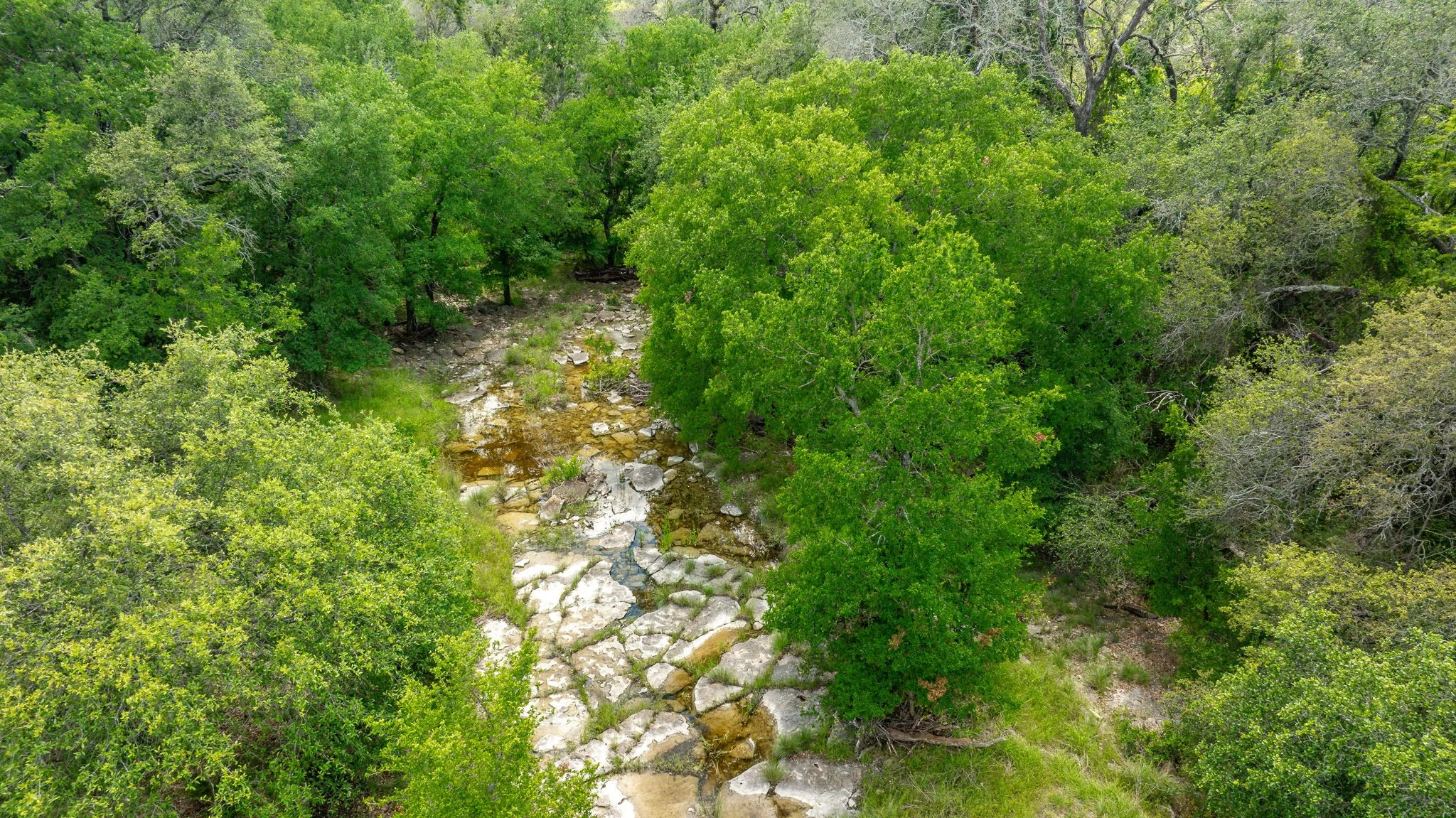 Unimproved Land For Sale in Erath County , Lot 3 County Road 277, Dublin, Texas 76446, 0, 0, Garage spaces, 0 Sqft, built in 0, mls#21225392, Real Estate Agent in Dublin, Homes For Sale in Erath county, Homes For Sale in Dublin, Realtor in Dublin Texas, Real Estate Brokerage Independent Realty Texas, Luminita Cordes Realtor