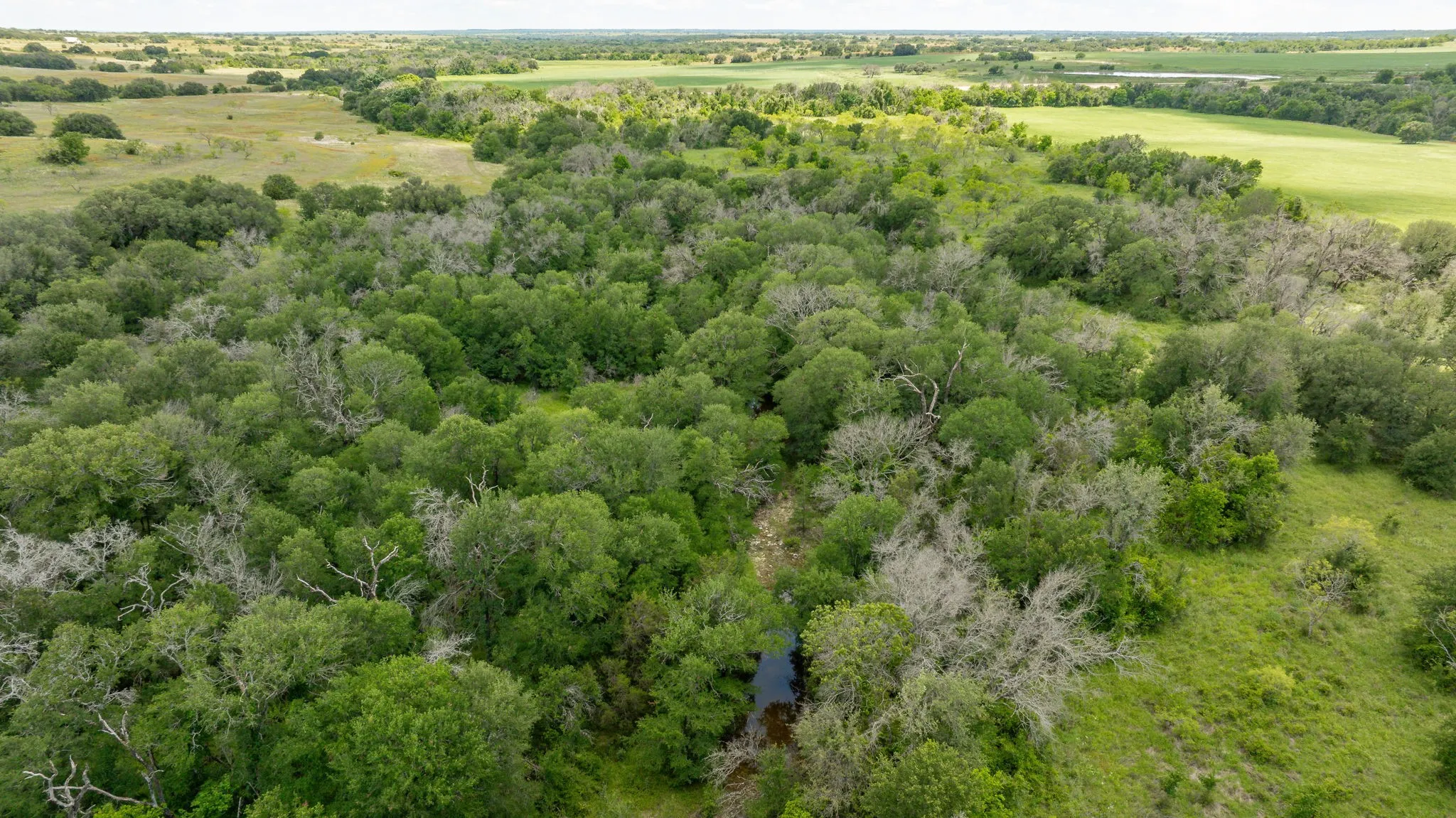 Unimproved Land For Sale in Erath County , Lot 3 County Road 277, Dublin, Texas 76446, 0, 0, Garage spaces, 0 Sqft, built in 0, mls#21225392, Real Estate Agent in Dublin, Homes For Sale in Erath county, Homes For Sale in Dublin, Realtor in Dublin Texas, Real Estate Brokerage Independent Realty Texas, Luminita Cordes Realtor