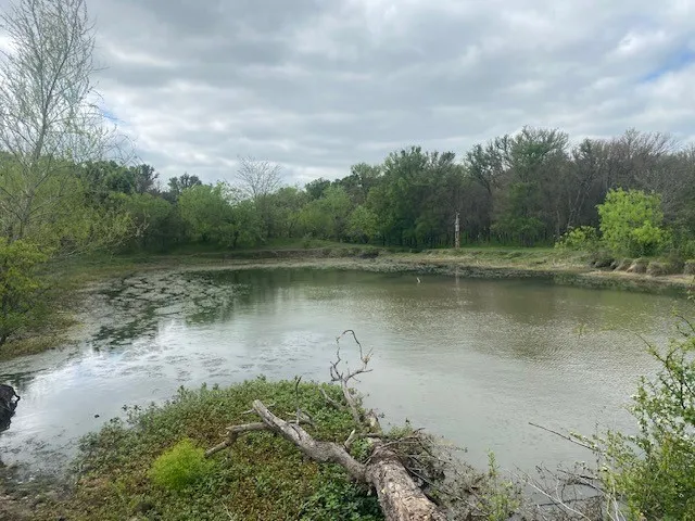 Farm For Sale in Falls County , 430 COUNTY ROAD 152, Riesel, Texas 76682, 3 Bedroom, 2 Bathroom, Garage spaces, 2,000 Sqft, built in 2023, mls#21227056, Real Estate Agent in Riesel, Homes For Sale in Falls county, Homes For Sale in Riesel, Realtor in Riesel Texas, Real Estate Brokerage Independent Realty Texas, Luminita Cordes Realtor