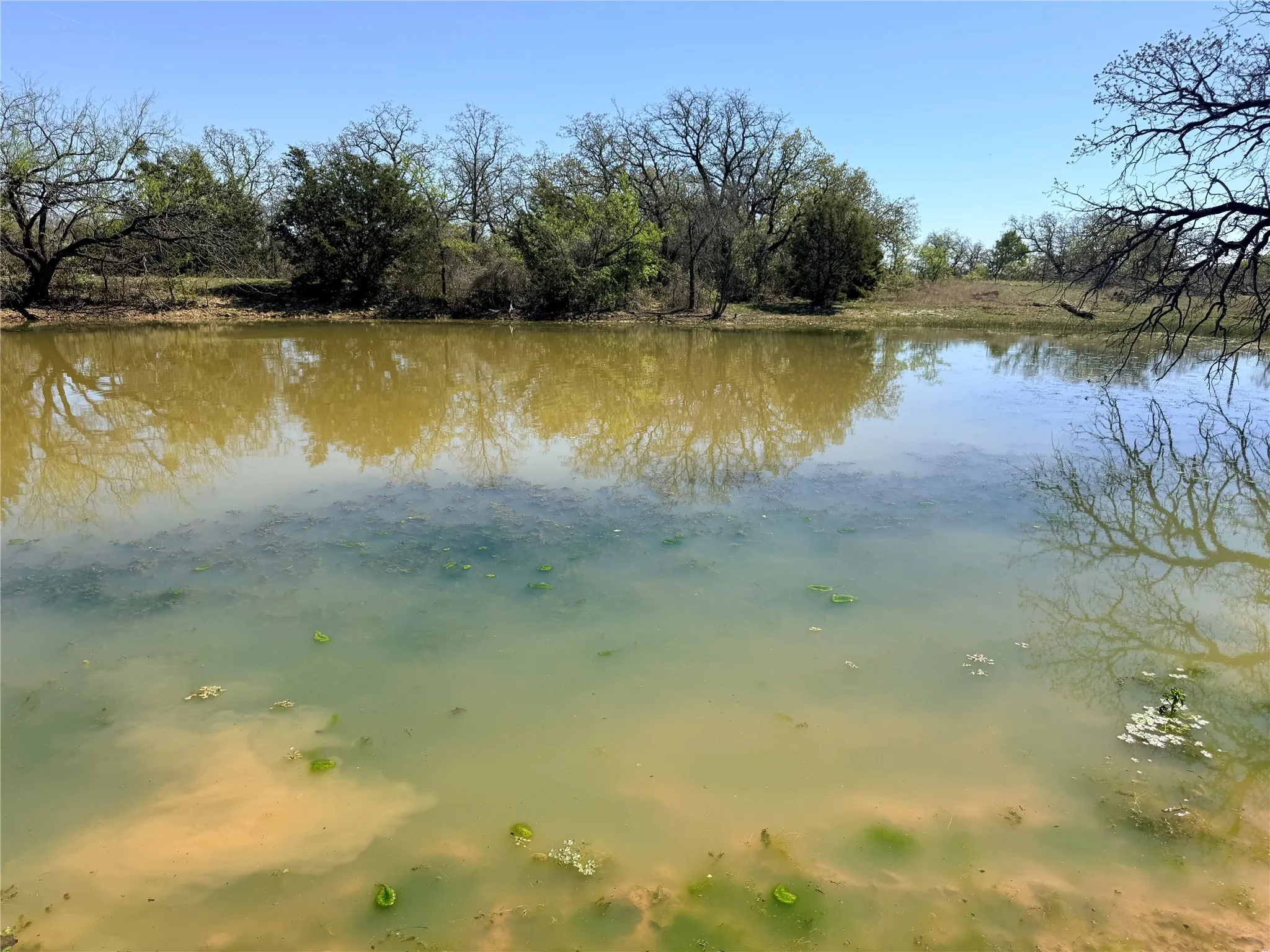 Ranch For Sale in Jack County , 421 Erwin Road, Jacksboro, Texas 76458, 0, 0, Garage spaces, 0 Sqft, built in 1970, Price $795,000, mls#21231103, Real Estate Agent in Jacksboro, Homes For Sale in Jack county, Homes For Sale in Jacksboro, Realtor in Jacksboro Texas, Real Estate Brokerage Independent Realty Texas, Luminita Cordes Realtor