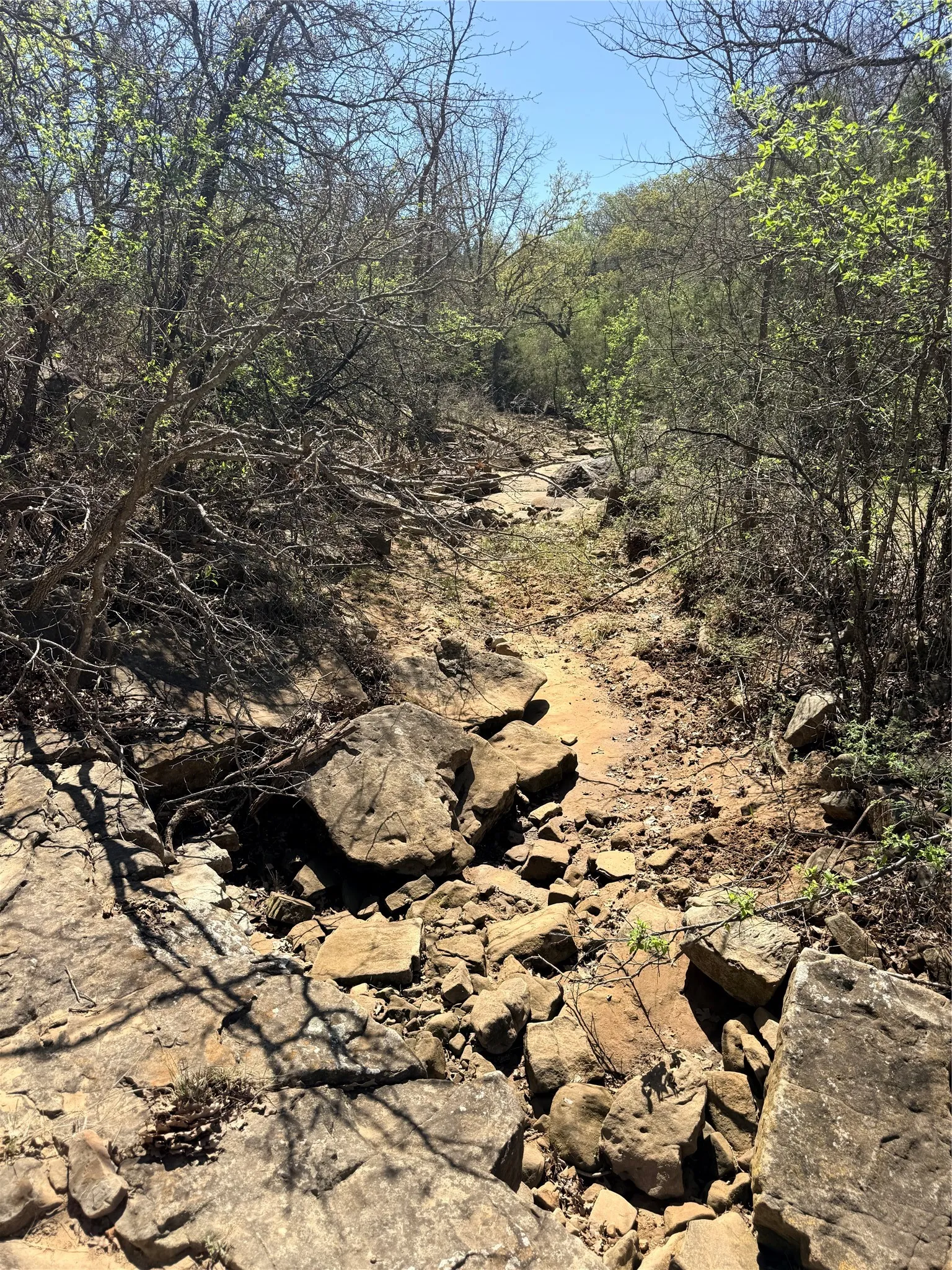 Ranch For Sale in Jack County , 421 Erwin Road, Jacksboro, Texas 76458, 0, 0, Garage spaces, 0 Sqft, built in 1970, Price $795,000, mls#21231103, Real Estate Agent in Jacksboro, Homes For Sale in Jack county, Homes For Sale in Jacksboro, Realtor in Jacksboro Texas, Real Estate Brokerage Independent Realty Texas, Luminita Cordes Realtor