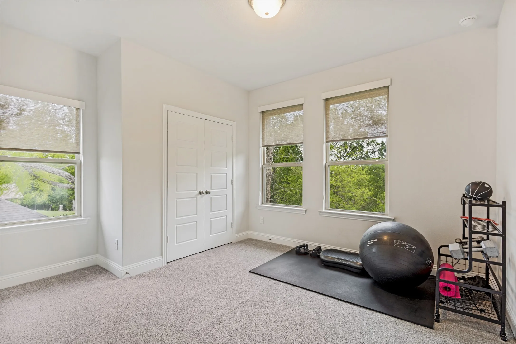 This room features light-colored walls and carpeting, a ceiling-mounted light fixture, and white double doors
