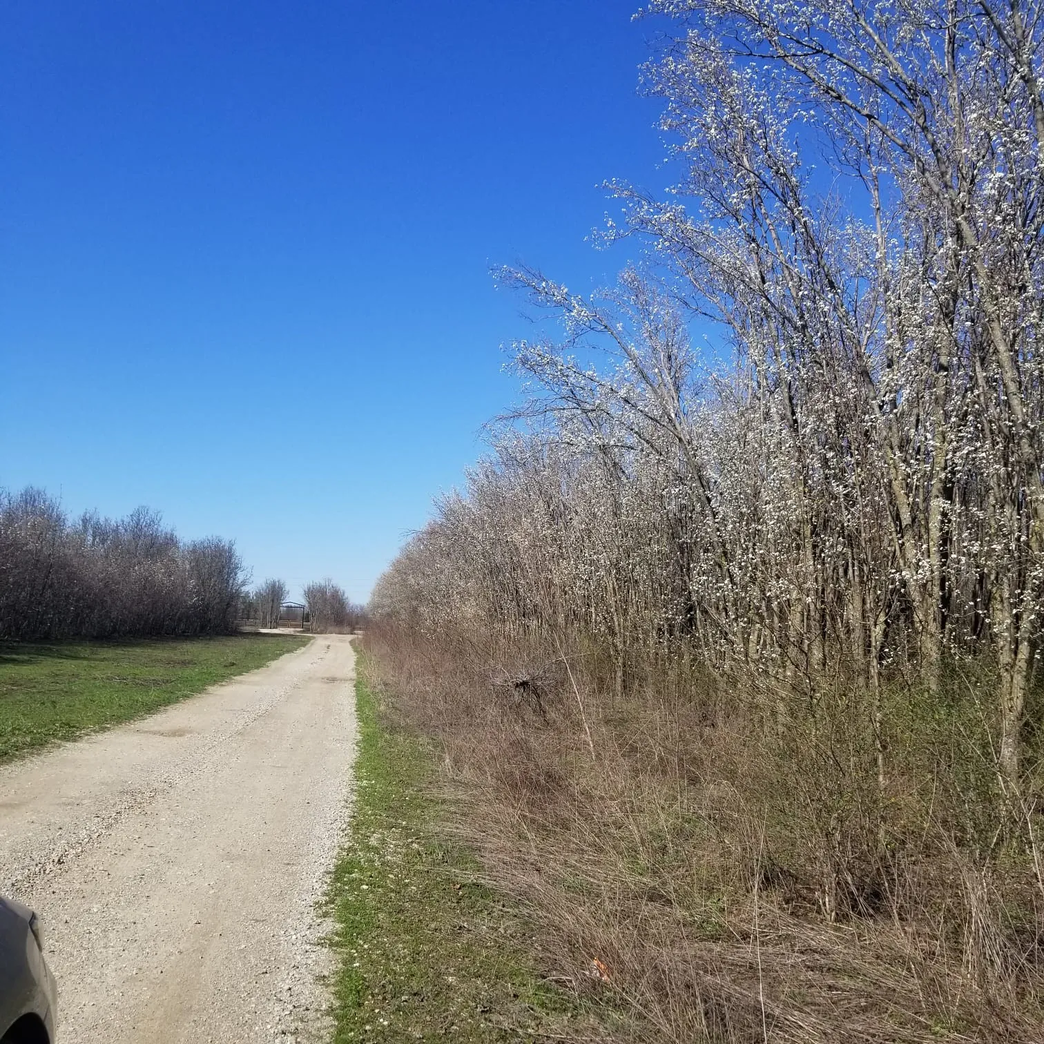 View of road