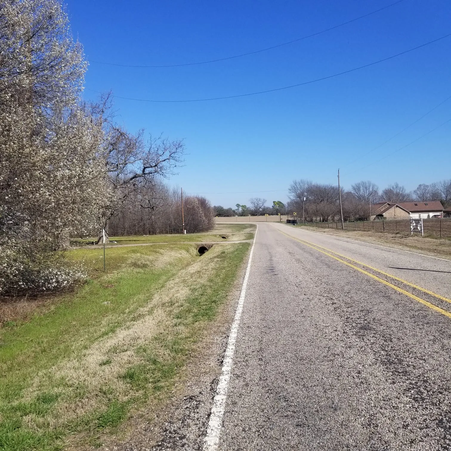Unimproved Land For Sale in Grayson County , TBD FM 697, Sherman, Texas 75090, 0, 0, Garage spaces, 0 Sqft, built in 0, Price $495,000, mls#21231595, Real Estate Agent in Sherman, Homes For Sale in Grayson county, Homes For Sale in Sherman, Realtor in Sherman Texas, Real Estate Brokerage Independent Realty Texas, Luminita Cordes Realtor