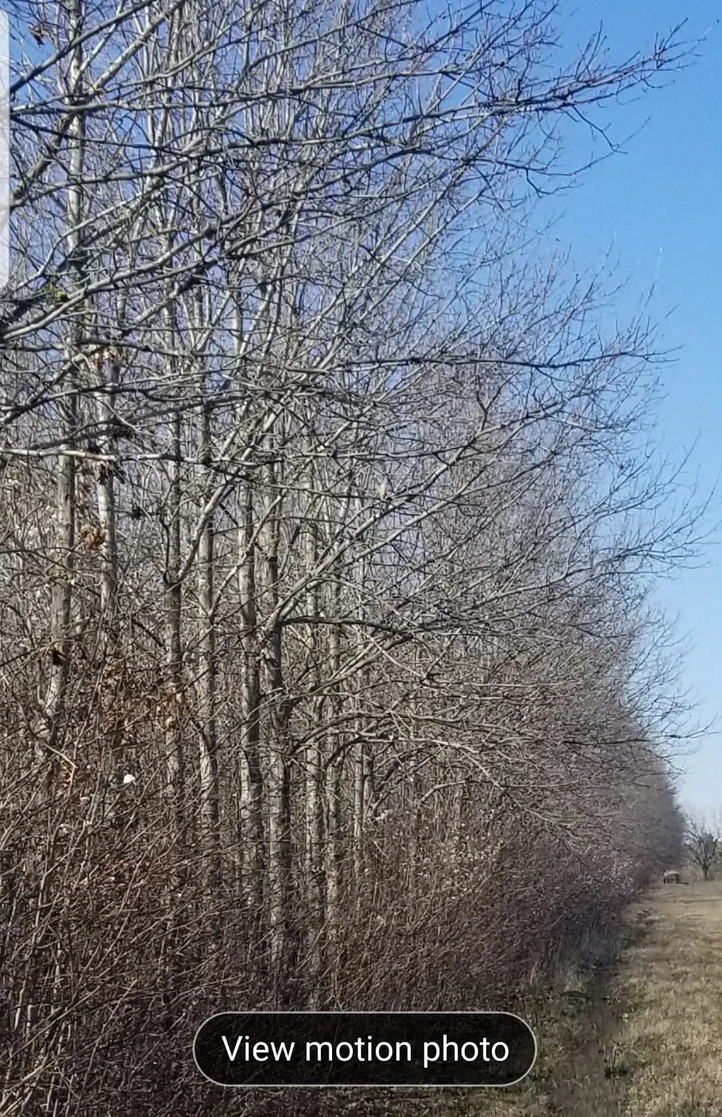 View of nature