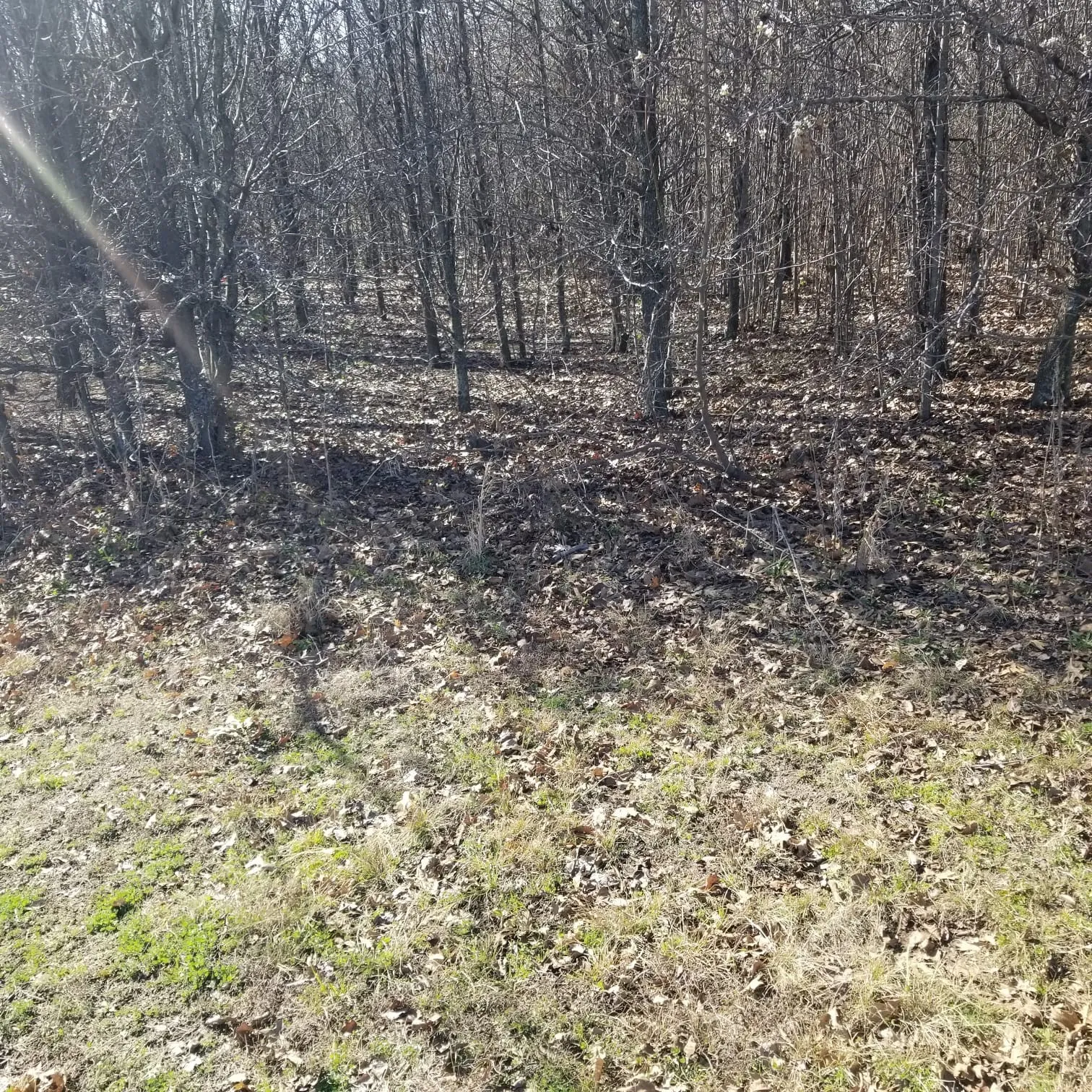 View of nature