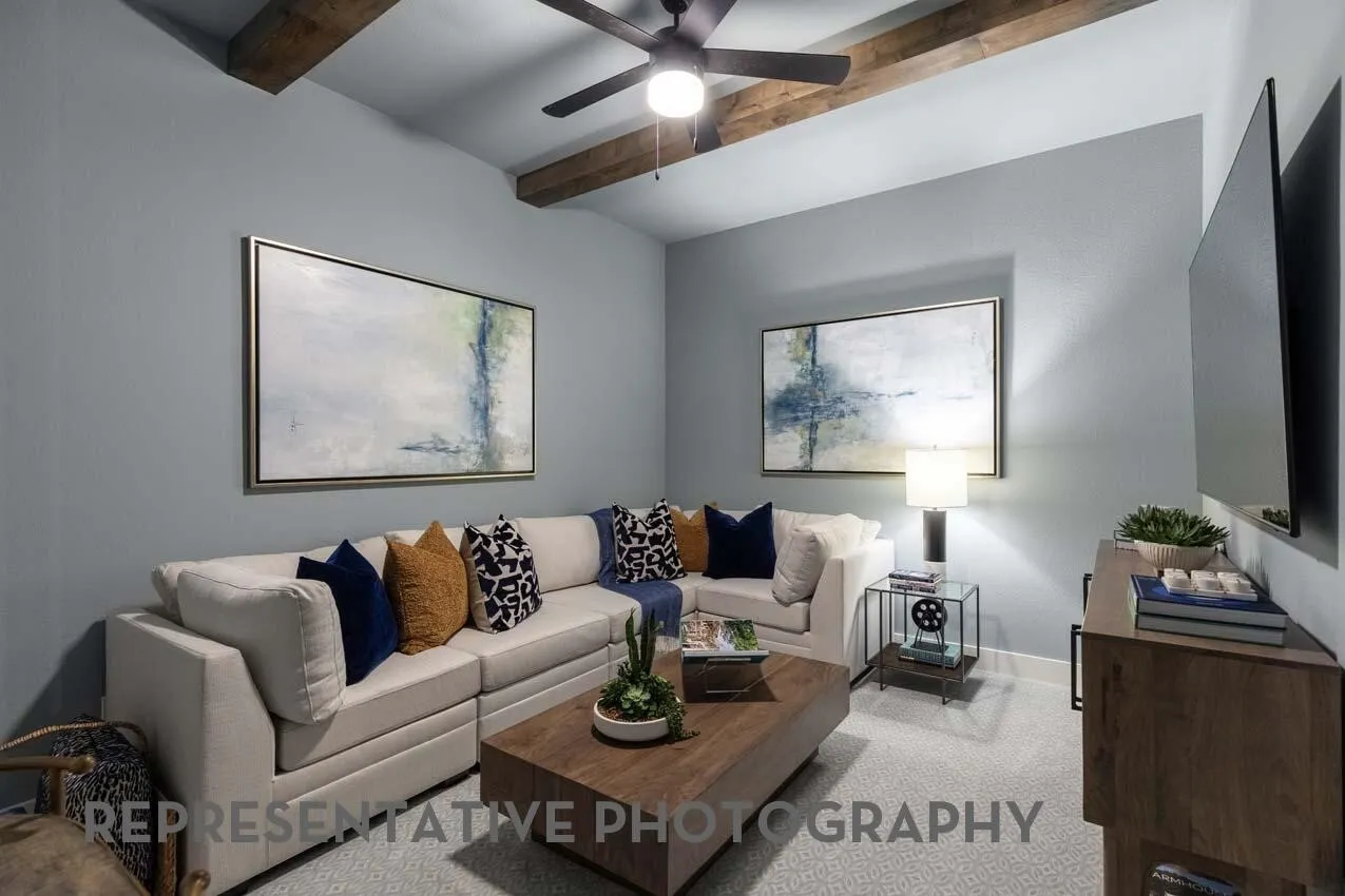 Entertainment Room