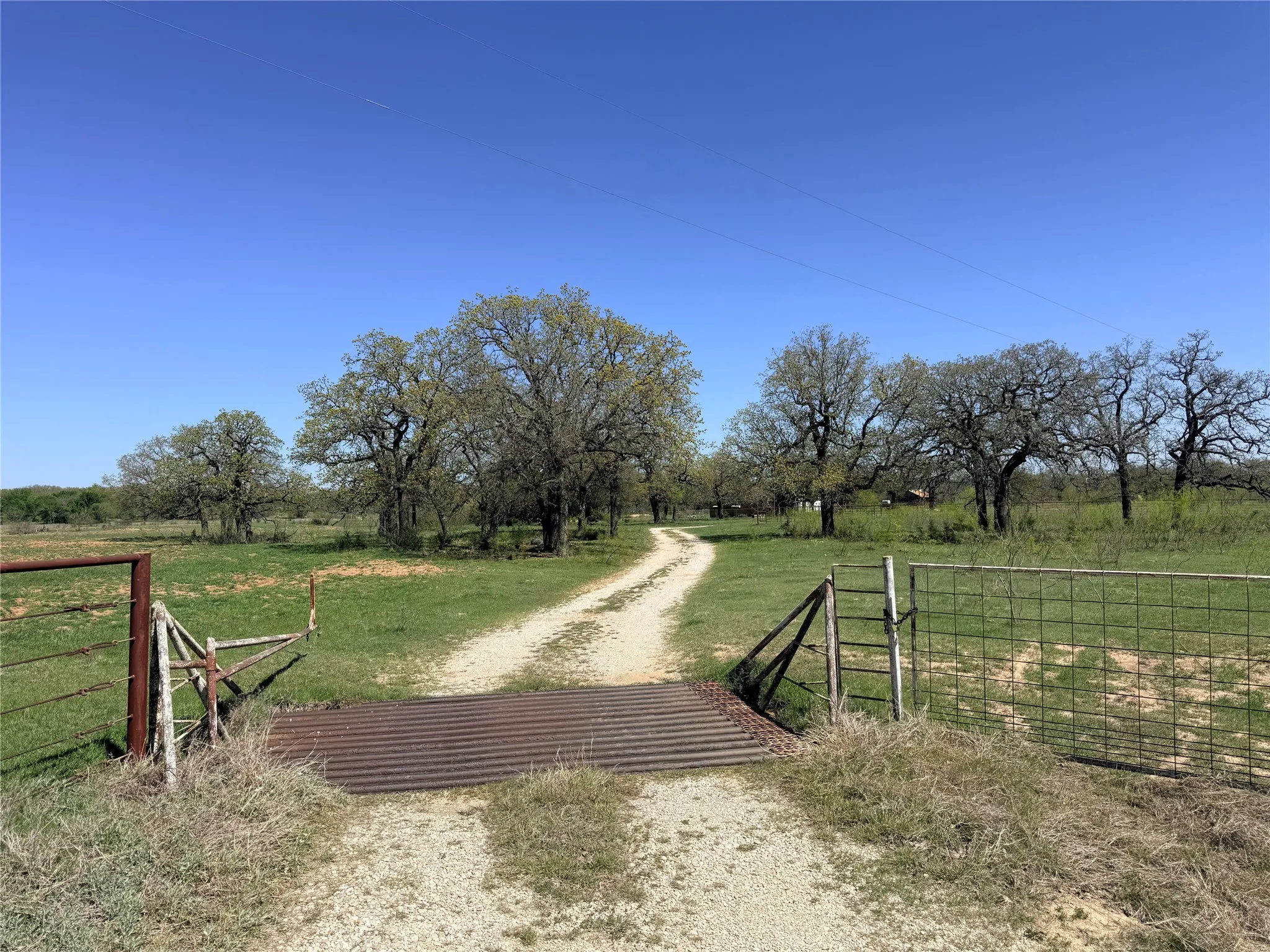 Farm For Sale in Jack County , 421 Erwin, Jacksboro, Texas 76458, 3 Bedrooms, 1 Bathroom, 4 Garage spaces, 1,200 Sqft, built in 1970, Price $795,000, mls#21231655, Real Estate Agent in Jacksboro, Homes For Sale in Jack county, Homes For Sale in Jacksboro, Realtor in Jacksboro Texas, Real Estate Brokerage Independent Realty Texas, Luminita Cordes Realtor
