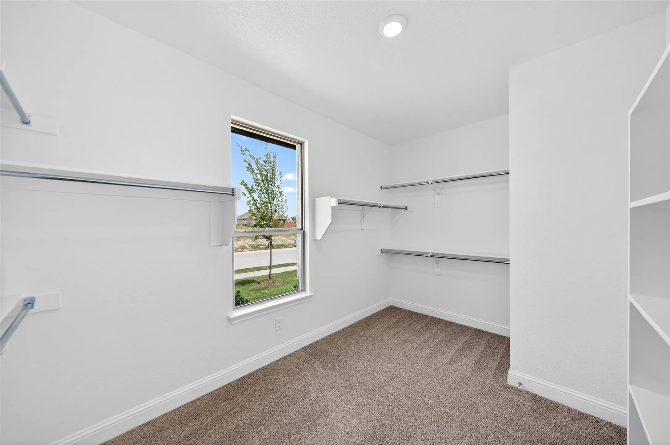 Spacious closet featuring built-in shelving, hanging rods, recessed lighting, carpet flooring, and a large window