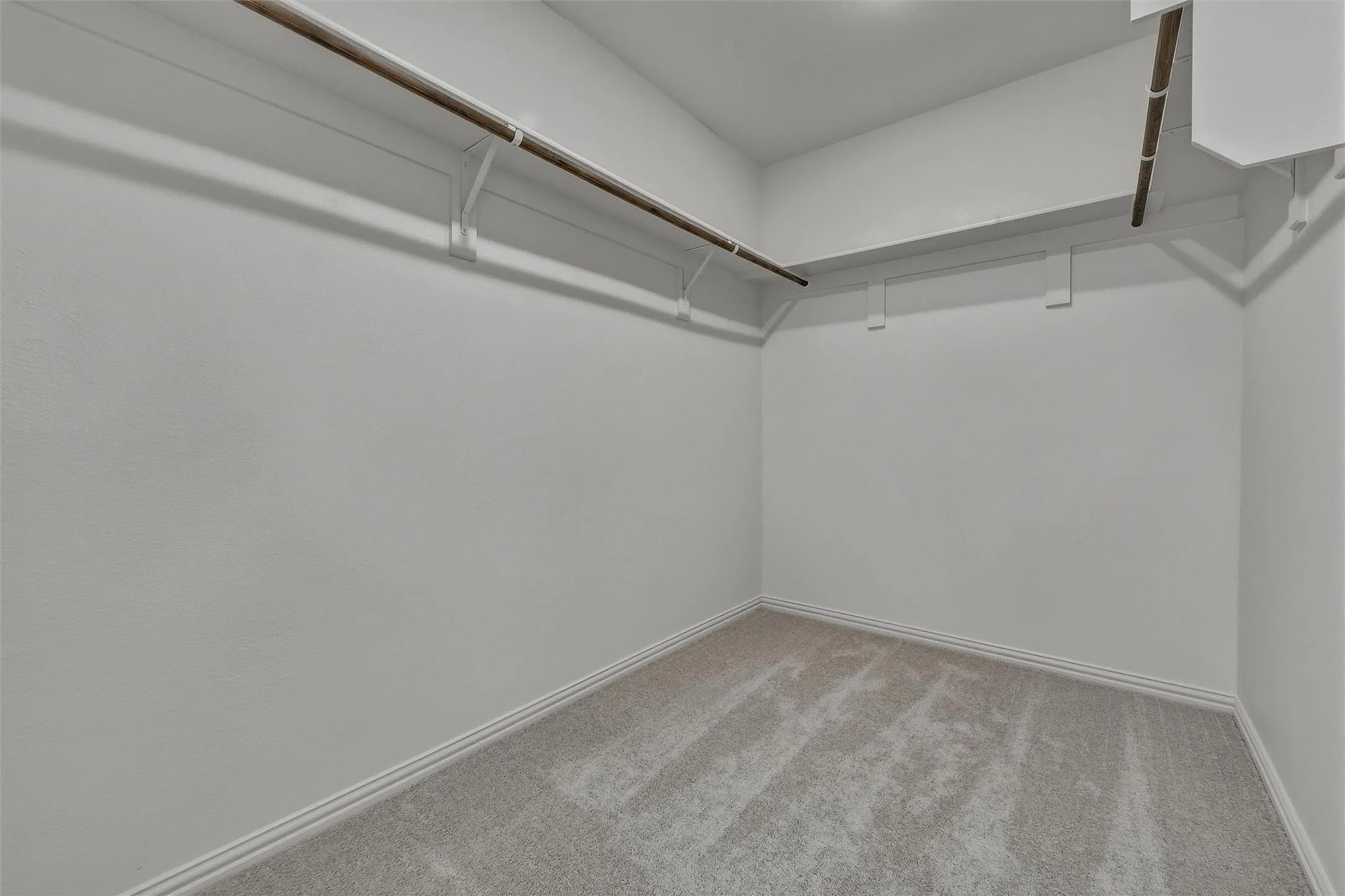Walk-in closet with carpet flooring, white walls, and built-in clothes rods