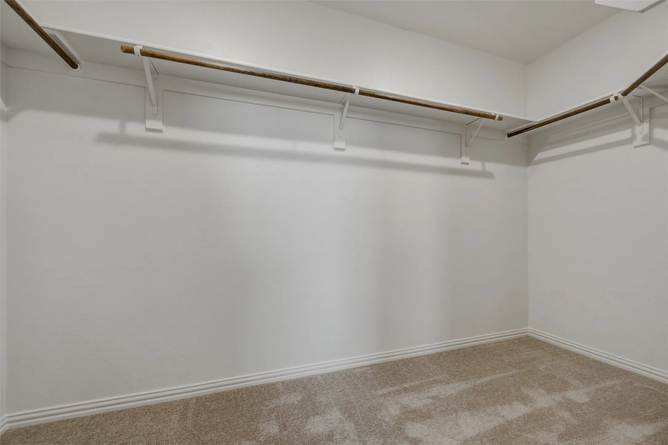 Spacious closet featuring wall-mounted shelving, built-in hanging rods, and neutral-toned carpeting