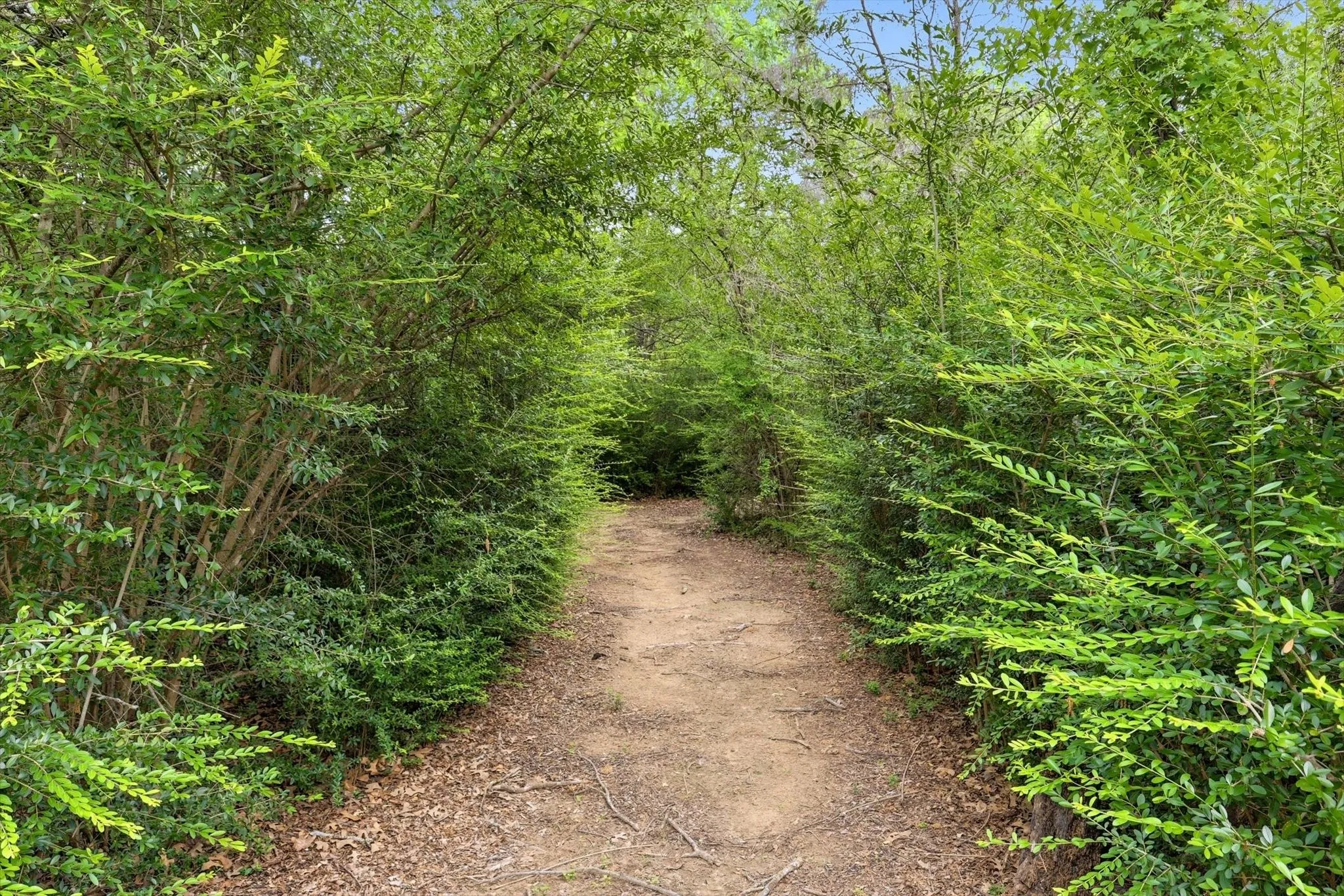 Endless places for children to be outdoors