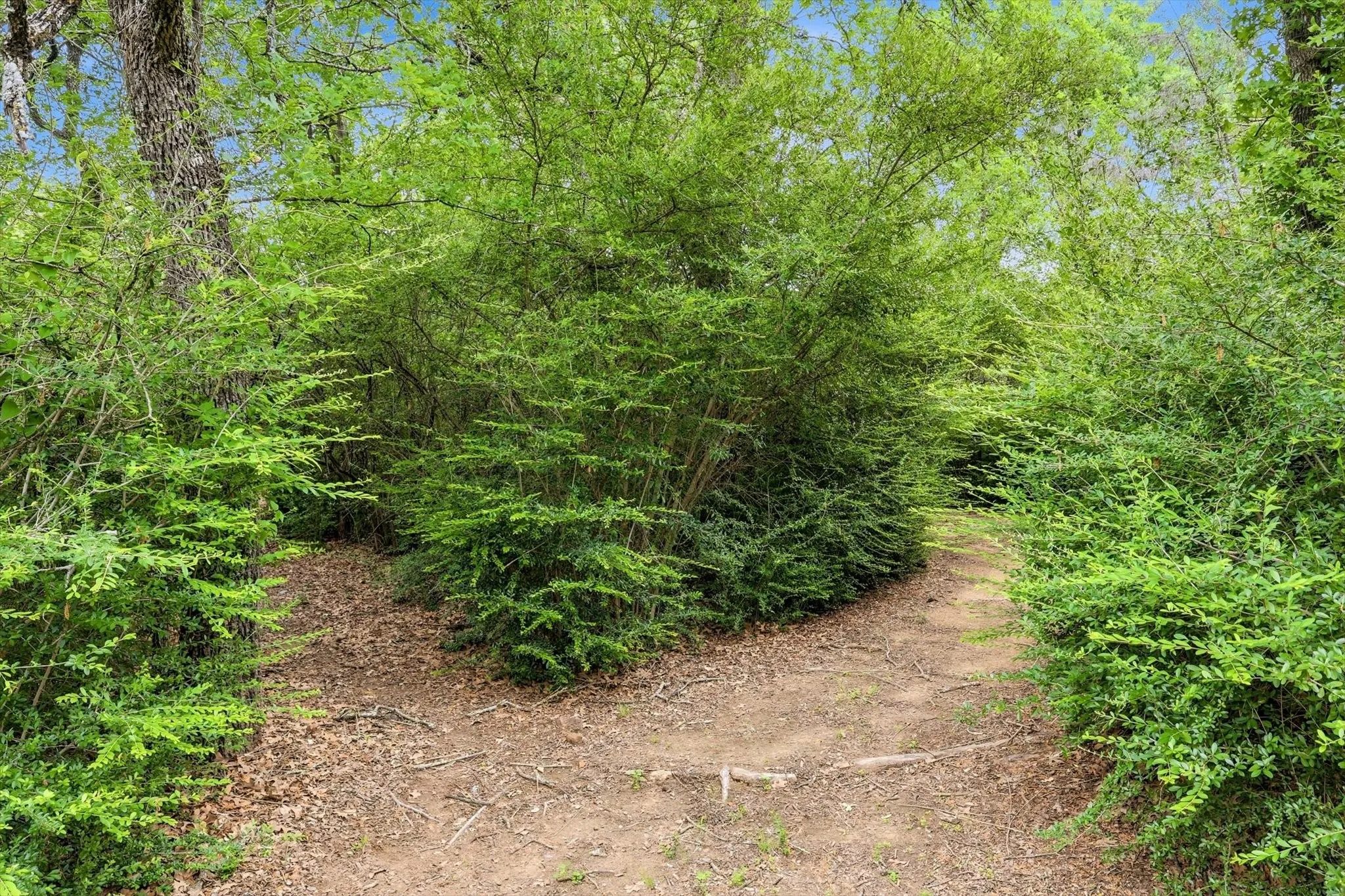 Room to explore on bike, foot or 4 wheeler