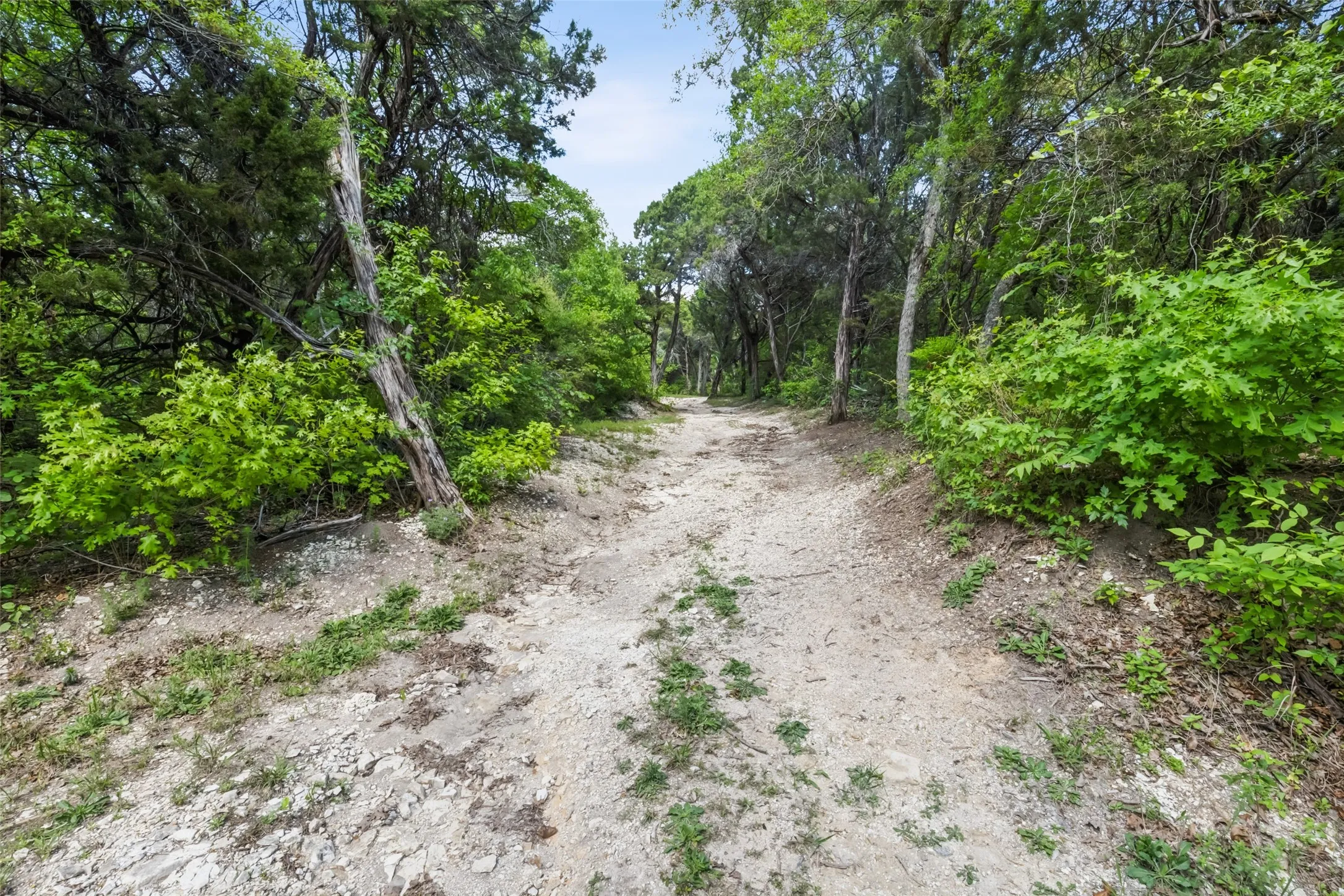 Unimproved Land For Sale in Dallas County , 891 Mobley Road, Cedar Hill, Texas 75104, 0, 0, Garage spaces, 0 Sqft, built in 0, mls#21204866, Real Estate Agent in Cedar Hill, Homes For Sale in Dallas county, Homes For Sale in Cedar Hill, Realtor in Cedar Hill Texas, Real Estate Brokerage Independent Realty Texas, Luminita Cordes Realtor