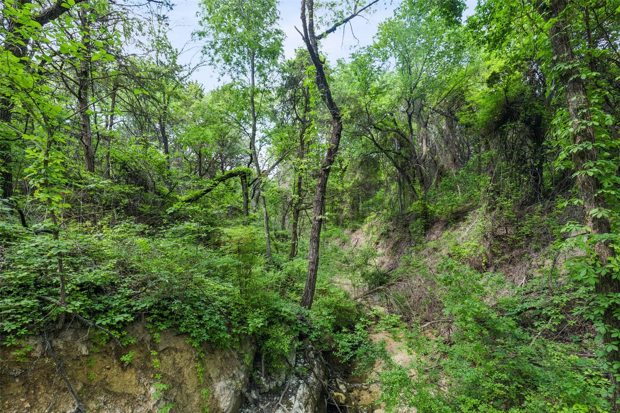 Unimproved Land For Sale in Dallas County , 891 Mobley Road, Cedar Hill, Texas 75104, 0, 0, Garage spaces, 0 Sqft, built in 0, mls#21204866, Real Estate Agent in Cedar Hill, Homes For Sale in Dallas county, Homes For Sale in Cedar Hill, Realtor in Cedar Hill Texas, Real Estate Brokerage Independent Realty Texas, Luminita Cordes Realtor